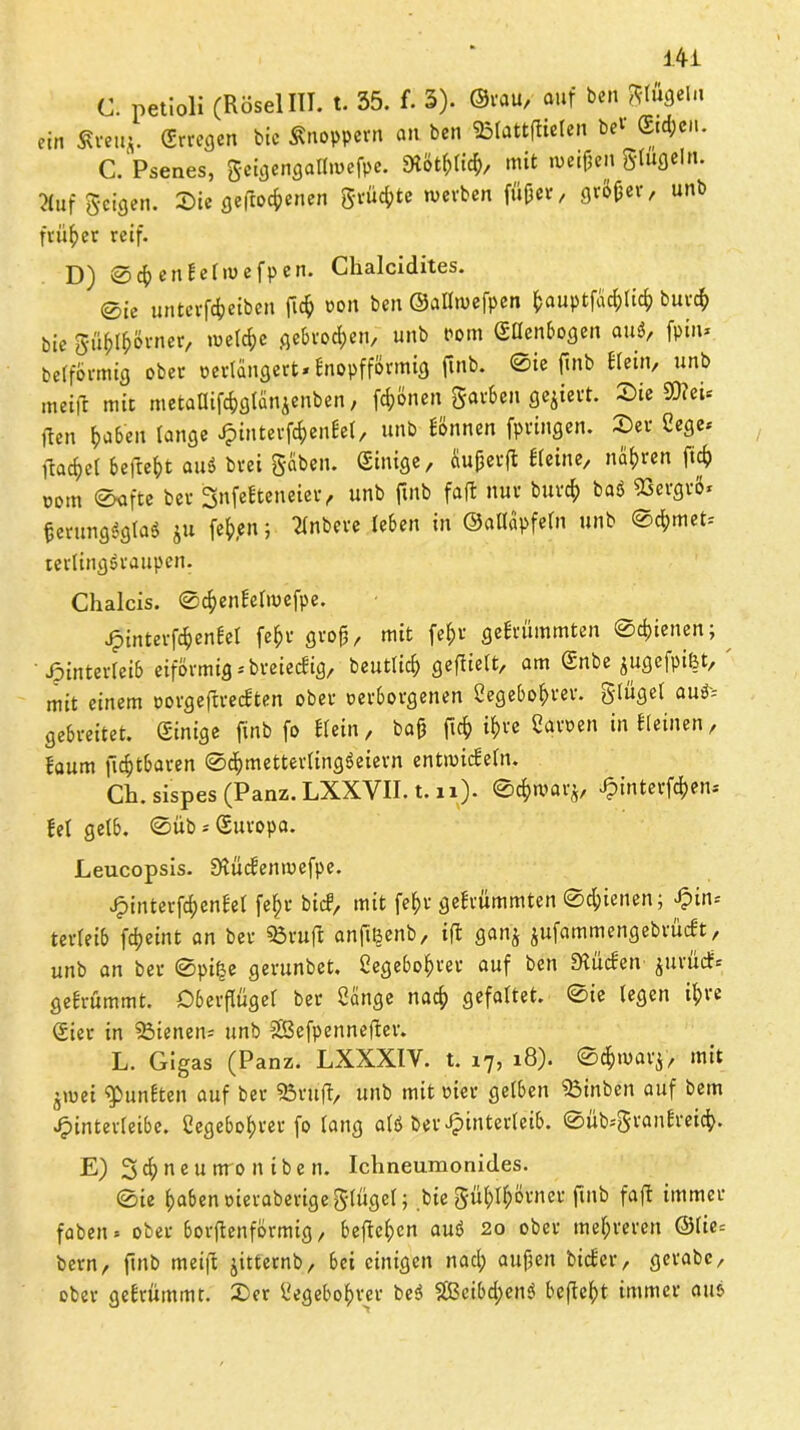 C. petioli (RöselUT. t. 35. f. 3). ©tau/ auf beh gtüflel.i ein Äreuj. (Erregen bie Knoppern an ben «Blattdielen bei Sitfoeii. C. Psenes, gcigengallmefpe. Dtötßlicß, mit weißen gtugeln. ?(uf geigen. Sie geflogenen grüßte werben fflßet, größer, unb früher reif. D) ©cßenbelmefpen. Chalcidites. ©ie unterfeßeiben fieß von ben ©aUwefpen ßauptfadjlicß bureß bie güßlßörner, roelcße gebrochen, unb Pom (Ellenbogen au3, fpin* beiförmig ober verlängert * fnopfförmig ftnb. ©ie finb Kein, unb meid mit metallifcßgtanjenben, frönen garten gegiert. Sie 3D?ei« ften fabelt lange Jpinterföenbet, unb können fpringen. Ser Cege* flachet befreit auö brei gaben. (Einige, fiujjerfl Heine, naßren fteß oom ©afte ber Snfefteneier, unb ftnb fad nur buvcß ba$ 53ergrö« |erung«gla« ju feß,en; flnbere leben in ©aflapfeln unb ©d;met* terlingöraupen. Chalcis. ©cßenbelmefpe. Hinterfcßenbet feßr groß, mit feßr gebrummten ©cßienen; Hinterleib eiförmig * breieefig, beutlicß gedielt, am (Enbe ^ugefpifet, mit einem oorgedreebten ober verborgenen Segeboßrer. ^,-lügcl aud= gebreitet. (Einige finb fo btein, baß fieß ißre Sgroen inbleinen, bäum d^tbaten ©cßmetterlingSeiern entmicbeln. CK sispes (Panz.LXXYII.t.n). ©cßjßar*, H'nterfcßen* bei gelb. ©üb* (Europa. Leucopsis. Stücbenmefpe. Hinterfcßenbel feßr bicb, mit feßr gebrummten ©cßienen; Hin-' terfeib feßeint an ber 95rufl anftfcenb, id ganj jufammengebrüebt, unb an ber 0pi£e gerunbet. Segeboßrer auf ben Sueben jurüdfe gebrummt. Oberflügel ber Sange naeß gefaltet. 0ie legen ißre (Sier in ^Bienen* unb SEBefpenneder. L. Gigas (Panz. LXXXIY. t. 17, 18). ©$warj> mit jmei $>unbten auf ber ®ru'd, unb mit vier gelben 23inbcn auf bem Hinterleibe. Segeboßrer fo lang alö ber Hinterleib, ©üb*granbreicß. E) 3 cß n e u nro n i b e n. Ichneumonides. ©ie ßabenoieraberigeglügel; .bie güßlßövner ftnb fad immer fabelt* ober bogenförmig, bedeßen auö 20 ober mehreren @tie= bern, ftnb meid jitternb, bei einigen nad; außen bicbcr, gerabe, ober gebrummt. Ser Segeboßrer be$ $83eibd;ettö beßeßt immer aus