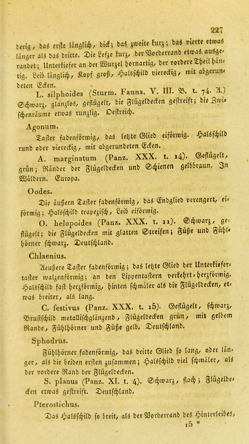 terig, ba$ erftc länglich, bici; ba<5 jwcite fuvj; baö inerte etraat länger a(* ba$ britte. Sie Hefte iurj, berSöorberranb etwaö au^cr ranbet; Unterliefet an bet SBurjel hornartig, bet »orteteSb«» N“ tig. 2eib länglich, Äopf groß, £attföiß> öierecfig, mit abgerun* beten Seien. ,r TtT ^ . L. silphoides (Sturm. Fauna. V. UI. 93. t. 74- J.) sepöaert, bit gr(iacfbect<MI ‘“-Spu ft^envaume etilulä vllllgtig. Deftveicfy. Agonum. Saftet fabenfötmig, baö lefjte ©lieb eiförmig. £aWfc&tlb runb ober t>ievec£ig / mit abgetunbeten Seien. A. marginatum (Panz. XXX. t. i4)* ©eflugelt, grün; Steinbet bet Slügetbecfen nnb ©c&ietten gelbbraun. 3» SBälbern. Suropa. Oodes. Sie äußern Saftet fabenfötmig, basJ Snbglieb verengert, et* förmig; J?al$fchilb trape^ifcf), Ceib eiförmig. O. helopoides (Panz. XXX. t* n). ©chnxu’j, ge* ftügelt; bie glügelbecien mit glatten «Streifen i Süße unb gü{)l* hörnet fchmar^. Seutfchlanb. Chlaenius. 2leußere Saftet fabenfötmig; baö lefjte ©lieb bet Unterfiefer* taffer walzenförmig; an ben Cippentaftern oerbehrt*ßerjförmig. jpalsfchilb faft herdförmig, h‘»ten f4>molet bie Sl^gelbecfen, et* was breitet, alö lang. C. festivus (Panz. XXX. t. i5). ©eflügelt, fdhmarj, 93ru(lf<hilb metaDtfchglänjenb, glügelbecfen grün, mit gelbem Stanbe, Fühlhörner unb güße 9elb. ^eutfd^lattb. Sphodrus. Fühlhörner fabenfötmig, baS britte ©lieb fo lang, ober län* ger, al$ bie beiben erften jufammen; Jpalöfcfjilb oiel fcfymalet, alö Per oorbere SJtanb bet glügelbecieit. S. planus (Panz. XI. t. 4)* » 3^9^** den etwas* geftreift. Seutfcljlanb. Pterostichus. Saö Jpalgfchilb fo breit, als* ber 93ortervanb bei* Jpinterleibesf/ i5 0