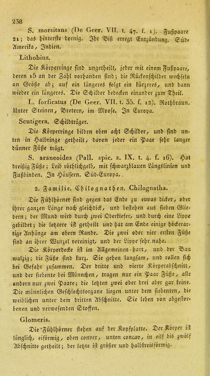 S. morsitans (De Geer. VII. t. 47. f'. ij. gufjpaare 21; ba$ ^intcrjte bornig. 3b*' 93ifi erregt Sntjünfcung. 0üb* tfmerifa, Schien. Lithobius. Sie Äörperringe ftitb ungeteilt, jeber mit einem Jußpaare, beren i5 an ber Sab! »or^anben ftnb; bie ÜKürfenfcbifber rocdjfeln an ©röfse ab; auf ein längere^ folgt ein kürzeres, unb bann nueber ein längeres. Sie 0cbi(ber bebecken einanber jum $f)eil. L. forficatus (De Geer. VII. t. 35. f. 12). Stotbbraun. Unter ©teilten, Kretern/ im SD?oofe. 3n Suropa. Scutigera. 0cbi(bträger. Sie Äörperringe bilben oben acht ©dbifber, unb ftnb un* ten in Jpalbringe geteilt, baoon jeber ein ^aar fefjr langer btinner güße tragt. S. araneoides (Pall. spie. z. IX. t. 4. f. 16). ^>at breißig güße; Seib rötblicbgelb, mit fcfjmar^blauen SängSlinlen unb gußbinben. 3» «Raufern. 0üb--Suropa.. 2. gamilie. Sb *10 g n a tb en. Cbilognatba. Sie güblbövnet ftnb gegen ba$ Snbe ju etwas bicker, ober ihrer ganzen Sänge nach gteicbbick, unb beheben au$ fiebert ©lie* bern; ber 99?unb mirb bureb $n>ei Oberkiefer, unb bureb eine Sippe gebilbet; bie festere ifl getbeitt unb I;at am Snbe einige böckerar* tige Anhänge am obern Stanbe. Sie puei ober vier crflen Süße ftnb an ihrer SBurjel bereinigt, unb ber Sippe febr nabe. Sie Äörperbecke ifl im Tlflgemeinert • hart, unb ber ^5au mafjig; bie guße ftnb ftt-rj. 0ie geben langfam, unb rollen fttb bei ©efabr jufammen. Ser britte unb vierte jRorperabfdbnitt, unb ber fiebente bei 9J?cinncben, tragen nur ein ^baar Süße, alle anbern nur pvei ^baare; bie festen pvei ober brei aber gar feine. Sie männlichen ©efölecfttforgane liegen.unter bem fiebenten, bie weiblichen unter bem britten 2lbfd[)nitte. 0ic (eben von abgefror* benen unb vertvefenbett 0toffen. Glomeris. Sie ‘güblbövner flehen auf ber Äopfpfatte. Ser Körper ifl länglich, eiförmig, oben conve.r, unten concav, in ei(f bis pvölf 2(bfcbnitte getbeift; ber letzte ifl größer unb halbkreisförmig.