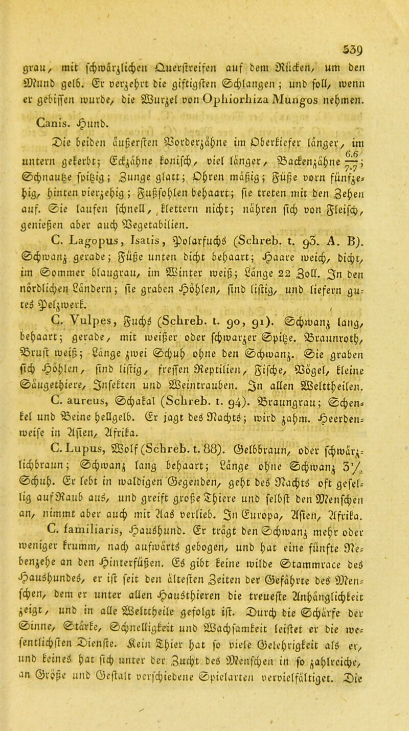 grau, mit jcfyroäqttc&cn Ctuerftveifen auf bem iHücEen, um ben £D?unb gelb. Sr »erwehrt bie giftigften ©drangen ; unb folt, roenn et gebijfen mürbe, bie SBurjel oon Ophiorhiza Murigos nehmen. Canis. Jfpimb. ©ie beiben außerfreu 93orberjäfjne im ÜberEicfer langer, im untern geberbt; <£cf'^a^ne Eonifcf), rief tanger, iÖacben^d^ne ©chnaufce fpt|ig; Sunge glatt; Dfcren mäßig; g-üße oorn fünfte* big, »ierjehig ; gußfohlen behaart; fie treten mit ben Sehen auf. ©ie taufen fdjnetl, Jtettern nicht; nähren jicf) oon gteifch, genießen aber auch 53egetabi(ien. C. Lagopus, Isaiis, ^»olarfuchö (Sclireb. t. g3. A. Bj. ©chman^ gerabe; Süße unten hießt behaart; Haare meief), bicht, im ©ommer btaugrau, im SSBinter tueiß; Bange 22 Sott. 2fn ben nörblidjen Banbern; fie graben Hcßten, finb fiflig, unb liefern gu-- te3 ^pefjmerb. , C. Vulpes, guchö (Sclireb. t. 90, 91). ©chröanj taug, behaart; gerabe, mit meißer ober fth.roarjer ©pi§e, SBrgunroth, SBruft meiß; Bange jiuei ©cßuh ohne ben ©eßmam. ©ie graben fich Jjfyhn, finb tifrig, frejfen Dieptilien, gifeße, 53ögef, Steine ©augetßiere, Snfe.Eten unb Weintrauben. 3« atten SBetttßeiten. C. aureus, ©cßabal (Sclireb. t. g4). 23raungrau; ©eßen* Set unb iBeine hellgelb. Sr jagt best 9?acßt$; robb £af>m. beerben-- meife in 21 ften, 2XfriSa. C. Lupus, Wolf (ScBreb. t. 88). ©elbbraun, ober fchwdr^ tichbraun; ©eßmanz tang behaart; Bange ohne ©eßmanz 3’/, ©chuh- Sr tebt in matbigen ©egenben, geht be<$ fftaeßt«) oft gefel-- lig aufDiaub au$, unb greift große $hiere unb felbft ben SCftenfcßen an, nimmt aber auch mit ?la$ oertieb. 3'i Sitröpa, 2fften, 2XfriSa. C. familiaris, ^aushunb. Sr tragt ben ©eßmanz mehr ober meniger brumm, nad; aufwärts gebogen, unb hat eine fünfte 97e- benähe an ben Hinterfüßen. S$ gibt Seine mitbe ©tammrace beö Hauößunbeö, er ifi feit ben attefren Seiten ber ©efaßrte be$ S0?en- fchen, bem er unter aüen Hau^thieren bie treuefbe StnßängficßEeic ^eigt, unb in attc Wetttßeile gefolgt ifl. ©ureß bie ©cßärfe ber ©inne, ©tarte, ©chnelligEeit unb Wacßfamtcit Seiftet er bie me: lenttichfren ©ienfte. Äeiit £.ßier hat fo uiele ©eleßrigEeit atö er, unb Seineö hat |icß unter ber Sucßt beö 9)?cnfcßeu in fo zahlreiche, an ©rpße unb ©eftatt »erfeßiebene ©pictarten oeroictfdttiget. ©ie