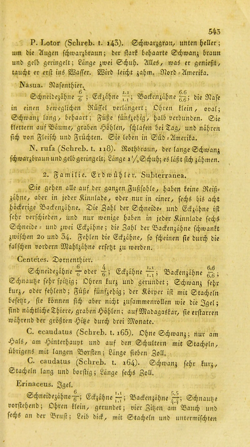 P. Lotor (Sclireb. t. i45). ©chwarjgratt, unten geller; um bie Gingen Xwarj&raun; ber (TarE behaarte ©d;wanj 6raun unb gefb geringeft; Sänge jwei ©chuf>. 2Ufcd, waS er genießt, taucht er erft ind SBaffer. SBirb leidet ^a^m. 9?orb ;2fmeriEa. Nasua. 9?ofent^terv ©dnmbejäfjne j ; gcfjShne sWenjaßne |f; bie 9?afe in einen beweglichen SKüffel verlängert; C^ren Kein, ot>af; ©cbwanj fa,,d/ behaart; güße fünfzig1, £al& oerbunben. ©ie Efettern aüf'95'aume> graben Höhten, f^Iafen 5ei£ag, unb narren (ich von Steift unb grüßten, ©ie leben in ©üb--2fmeriEa. N. rufa (Sclireb. t. 118). SKothbraun, ber fange ©cöwanj fchwar^raun unb gelb geringelt; Sange 1 '/2©d)U^ ed faßt ftch jähmen. 2. gamifie. g r b w üf; fe r. Subterranea. ©ie gehen alte auf ber ganzen $ußfohfe, haben {eine 9?cifj= btyne, aber in jeber ßinnfabe, ober nur in einer, fe$ö bis acht hocEerige iBacfen^ähne. X>ie Saht ber ©$neibe* unb gcEjähne ifl fcf>r »erziehen, unb nur wenige haben in jeber Äinnfabe fed;S ©djneibe.' unb jwei gefeite; bie ber «BflcEenja&ne ftywanEt ^wi)chen 2o unb 34. geilen bie gcE^ähne, fo fcfjeinen fie burdh bie faffc^en vorbern Sttahljähne erfefjt $u werben. Centetes. ©ornent^ier. ©cb'neibejähne-§• ober S^a^ne 777; SBacfenjafcne Jrjj ; ©c^nau^e feljr fpißig; Ohren Eurj unb gerunbet; ©cfjwan^ fc^r fur^, ober fehfenb; güjje fünfzig; ber Körper ift mit ©tadeln befeßt, fie Eönnen fich aber nicht ^tfammenrollen wie bie^gef; ftnb nächtlicheSpiere, graben £&f;fen; aufSföabagn$Ear, fieerfiarren wa^renb ber größten Hifee burch brei ättonate. C. ecaudatus (Schreb. t. i65). Ohne ©dfjwanj; nur am Jpafg, am Hinterhaupt unb auf ben ©c&ultern mit ©tadeln, übrigens mit langen SBorften; Sange fteben Soff. C. caudatus (Schreb. t. 164). ©c&wanj fe^r Eurj, ©taeßefn lang unb borfiig; Sänge fec^ö Soff. Erinaceus. ggef. toeßneibejähne—; gcEjähne^; SBacEenjäbne ©d)nau|e vorftehenb; Ohren ffeiit, gerunbet; vier Streit am $3aud; unb feefjd an ber 33ruft; Seib bicE, mit ©tadjefn unb untermixten