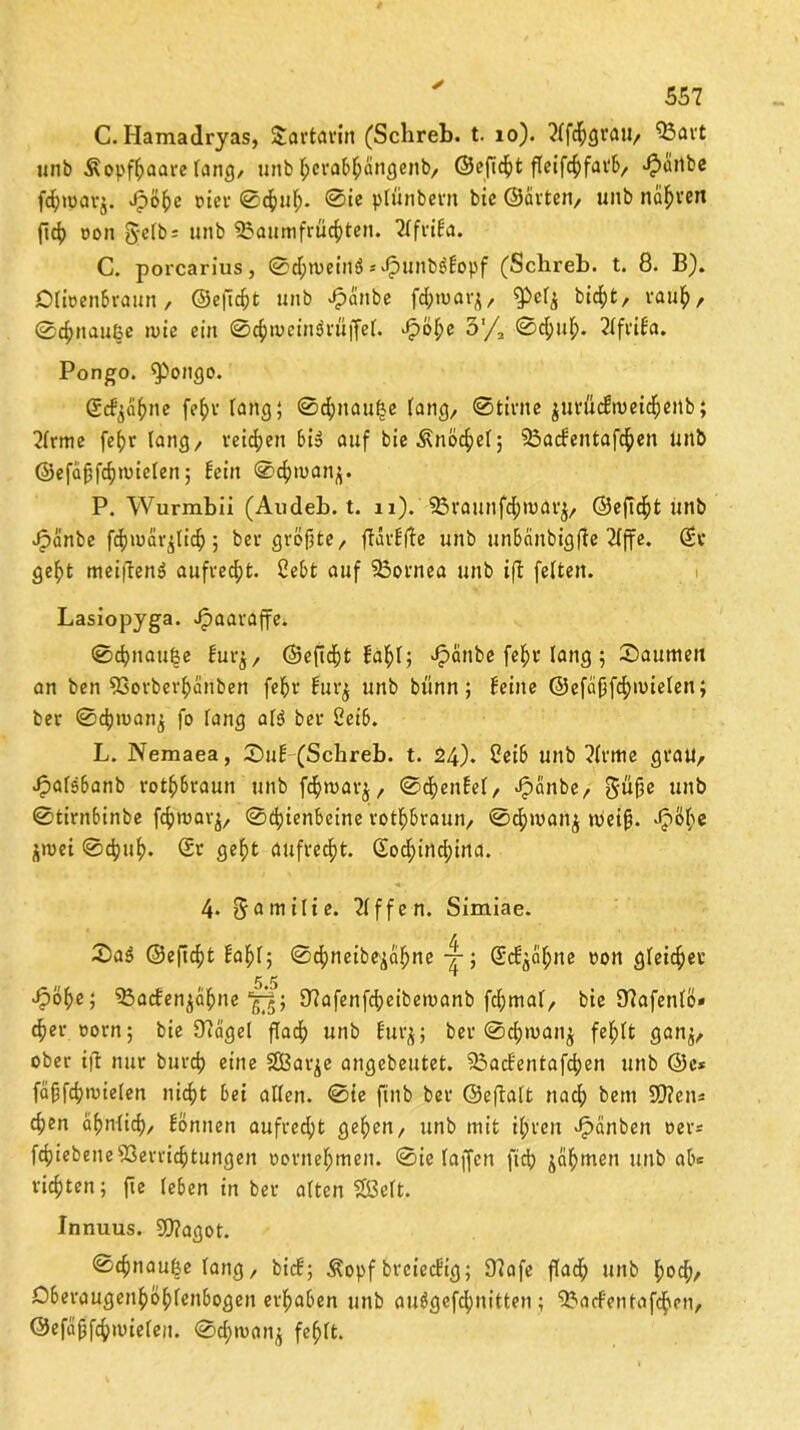 C. Hamadryas, Sfcartarin (Sclireb. t. 10). ?lfcfygraii/ ’&art unb Äopffcaare lang, unb £crab$angenb, ©cftd^t fleifc^favb/. ^äilbc fd)tuar$. Jpöße Ptcr 0df)ul). 0ie plünbern bic ©arten, unb naiven ftc^> oon g-elb; unb 53aumfrücf>ten. TXfriHa. C. porcarius, 0d;nmnö * Jpunböfopf (Schreb. t. 8. B). Olfoenbraun, ©efidft unb Ppänbe fdjtuav^, fpclj bid)t, rau£, 0<$nauße n>ie ein 0cf>u>cin3rüffel. 3'/a ©d;ul;. 2lfvifa. Pongo. ^ongo. Scfycißne feßr fang; 0dpnau&e fang, 0tinte jurüdfrueidßertb; 2lrme fe^v lang/ reifen bi$ auf bieÄnöcfyel; 23acfentafcf)en Uiib ©efaßfdpmelen; fein 0cf)ii>anj;. P. Wurmbii (Audeb. t. n). SBraunfd&roörj, ©efidfit unb Jpänbe fc&märjlicf) 5 ber größte, ffarffte unb un&änbigfte 2lffe. (Sr gef>t meijtenS aufrecht. 2ebt auf 93ornea unb iß feiten. Lasiopyga. Jpaarajrei 0d>nau|e fur$, ©eftdf)fc £a^>T; Jpänbe felfr lang 5 Säumen an ben 93orberf>anben feifr furj unb bünn; feine ©efäfjftywielen; ber 0d)iuan^ fo lang al$ bei* 2eib. L. Nemaea, Suf (Schreb. t. 24). Ceib unb ?lvme grau, Jpalsbanb rotbraun unb fc&roavj, 0d)enfel, Jpänbe, 5üße unb 0tirnbinbe fcfntmrj, 0d)ienbeine rot-braun, 0$mati£ »Peiß. Jpöfye jwei 0cfjuf). (Sr geßt aufrecht. Socfyirtcfyina. 4. gamilte. Riffen. Simiae. SaS ©efic^t faßl; 0d)neibe^a^ne 4-; (Scf^äßne oon gleicher 5.5 >f?öf>e; 33acfen^af>ne 97afenfd)eibe>nanb fcfjmat/ bie Dlafenlö* d}ev »orn; bie 97cigel flacf) unb fur$; ber 0cf)ivan$ fefclt gan$, ober tfl nur burd) eine SSBarje angebeutet. 33acfentafcf)en unb @c* faßfd;nue(en nicfjt bei allen. 0ie ftnb ber ©eftalt nac() bem SQten« cßen äßnticf), fönnen aufrecht ge^en, unb mit il;rcn Jpänben oer* fd)iebene53ervicf)tungen oorneßmen. 0ie taffen fidj Pehmen unb ab= vielten; fie (eben in ber alten SÖelt. Innuus. Sflagot. 0cfinauße lang, bief; $opf breieefig; 9?afe fladf unb f>odj, Oberaugenf)öf)fenbogen ergaben unb auägefcfynitten; Warfen taffen, ©efctßfc&imeleii. 0cf>roon$ fefflt.