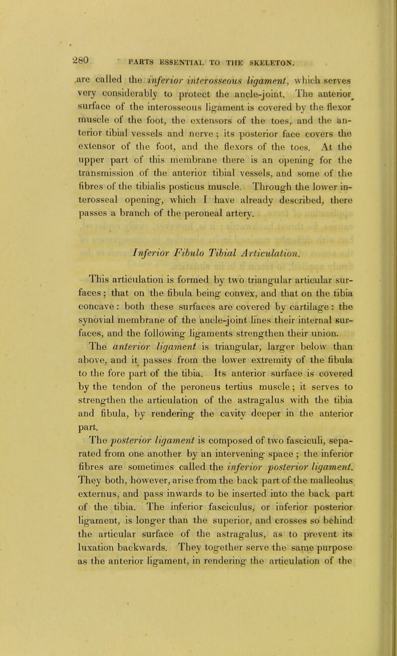 ,are called i\va inferior mterosseous ligament, which serves very considerably to protect the ancle-joint. The anterior__ surface of the interosseous lig'ament is covered by the flexor muscle of the foot, the extensors of the toes, and the an- terior tibial vessels and nerve ; its posterior face covers the extensor of the foot, and the flexors of the toes. At the upper part of this membrane there is an opening for the transmission of the anterior tibial vessels, and some of the fibres of the tibialis posticus muscle. Through the lower in- terosseal opening, which I have already described, there passes a branch of the peroneal artery. Inferior Fibulo Tibial Articulation. This articulation is formed by two triangular articular sur- faces ; that on the fibula being convex, and that on the tibia concave; both these surfaces are covered by cartilage: the synovial membrane of the ancle-joint lines their internal sur- faces, and the following ligaments strengthen their union. The anterior ligament is triangular, larger below than above, and it passes from the lower extremity of the fibula to the fore part of the tibia. Its anterior surface is covered by the tendon of the peroneus tertius muscle; it serves to strengthen the articulation of the astragalus with the tibia and fibula, by rendering the cavity deeper in the anterior part. The posterior ligament is composed of two fasciculi, sepa- rated from one another by an intervening space ; the inferior fibres are sometimes called the inferior posterior ligament. They both, however, arise from the back part of the malleolus externus, and pass inwards to be inserted into the back part of the tibia. The inferior fasciculus, or inferior posterior ligament, is longer than the superior, and crosses so behind the articular surface of the astragalus, as to prevent its luxation backwards. They together serve the same purpose as the anterior ligament, in rendering the articulation of the