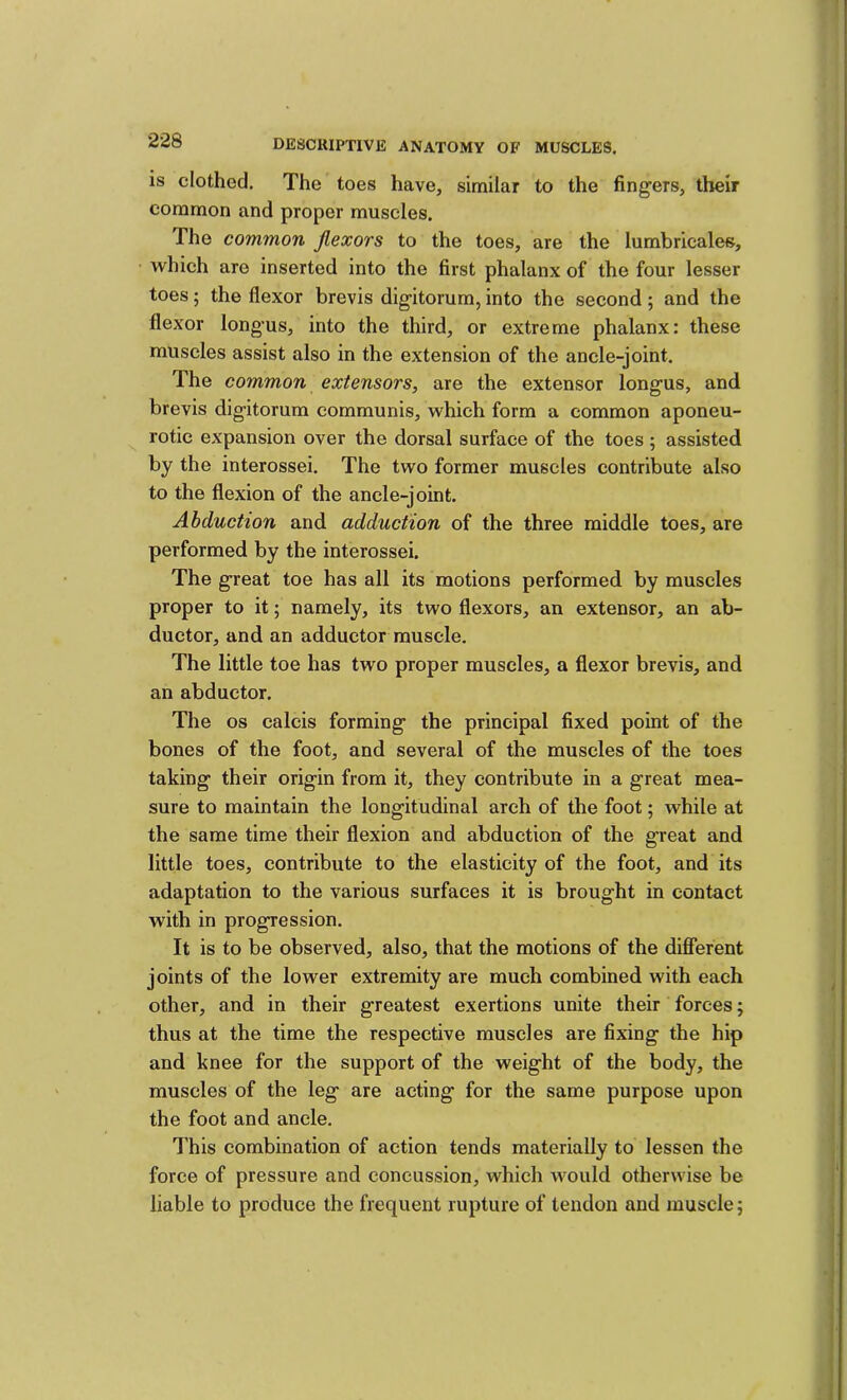 IS clothed. The toes have, similar to the fingers, their common and proper muscles. The common flexors to the toes, are the lumbricales, which are inserted into the first phalanx of the four lesser toes; the flexor brevis digitorum, into the second; and the flexor longus, into the third, or extreme phalanx: these muscles assist also in the extension of the ancle-joint. The common extensors, are the extensor longus, and brevis digitorum communis, which form a common aponeu- rotic expansion over the dorsal surface of the toes; assisted by the interossei. The two former muscles contribute also to the flexion of the ancle-joint. Abduction and adduction of the three middle toes, are performed by the interossei. The great toe has all its motions performed by muscles proper to it; namely, its two flexors, an extensor, an ab- ductor, and an adductor muscle. The little toe has two proper muscles, a flexor brevis, and an abductor. The os ealcis forming the principal fixed point of the bones of the foot, and several of the muscles of the toes taking their origin from it, they contribute in a great mea- sure to maintain the longitudinal arch of the foot; while at the same time their flexion and abduction of the great and little toes, contribute to the elasticity of the foot, and its adaptation to the various surfaces it is brought in contact with in progression. It is to be observed, also, that the motions of the different joints of the lower extremity are much combined with each other, and in their greatest exertions unite their forces; thus at the time the respective muscles are fixing the hip and knee for the support of the weight of the body, the muscles of the leg are acting for the same purpose upon the foot and ancle. This combination of action tends materially to lessen the force of pressure and concussion, which would otherwise be liable to produce the frequent rupture of tendon and muscle;