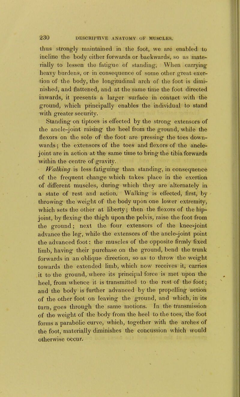 thus strongly maintained in the foot, we are enabled to incline the body cither forwards or backwards, so as mate- rially to lessen the fatigue of standing. When carrying heavy burdens, or in consequence of some other great exer- lion of the body, the longitudinal arch of the foot is dimi- nished, and flattened, and at the same time the foot directed inwards, it presents a larger surface in contact with the ground, which principally enables the individual to stand with greater security. Standing on tiptoes is effected by the strong extensors of the ancle-joint raising the heel from the ground, while the flexors on the sole of the foot are pressing the toes down- wards ; the extensors of the toes and flexors of the ancle- joint are in action at the same time to bring the tibia forwards within the centre of gravity. Walking is less fatiguing than standing, in consequence of the frequent change which takes place in the exertion of different muscles, during which they are alternately in a state of rest and action. Walking is effected, first, by throwing the weight of the body upon one lower extremity, w'hich sets the other at liberty; then the flexors of the hip- joint, by flexing the thigh upon the pelvis, raise the foot from the ground; next the four extensors of the knee-joint advance the leg, while the extensors of the ancle-joint point the advanced foot: the muscles of the opposite firmly fixed limb, having their purchase on the ground, bend the trunk forwards in an oblique direction, so as to throw the weight towards the extended limb, which now receives it, carries it to the ground, where its principal force is met upon the heel, from whence it is transmitted to the rest of the foot; and the body is further advanced by the propelling action of the other foot on leaving the ground, and which, in its turn, goes through the same motions. In the transmission of the weight of the body from the heel to the toes, the foot forms a parabolic curve, which, together with tlie arches of the foot, materially diminishes the concussion which would otherwise occur.
