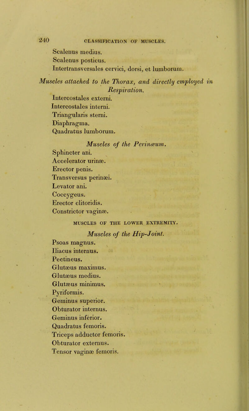 Scalenus medius. Scalenus posticus. Intertransversales cervici, dorsi, et lumborum. Muscles attached to the Thorax, and directly employed Respiration. Intercostales externi. Intercostales interni. Triang-ularis sterni. Diaphragraa. Quadratus lumborum. Muscles of the Perinceum. Sphincter ani. Accelerator urinse. Erector penis. Transversus perinaei. Levator ani. Coccygeus. Erector clitoridis. Constrictor vaginae. MUSCLES OF THE LOWER EXTREMITY. Muscles of the Hip-Joint. Psoas magnus. ^ Iliacus internus. Pectineus. Glutaeus maximus. Glutaeus medius. Glutaeus minimus. Pyriforrais. Geminus superior. Obturator internus. Geminus inferior. Quadratus femoris. Triceps adductor femoris. Obturator externus. Tensor vaginae femoris.