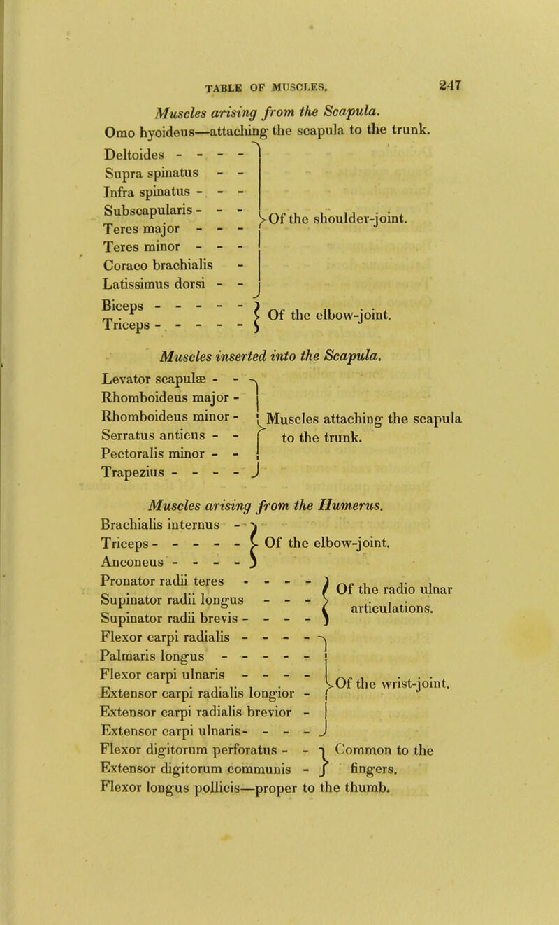 the shoulder-joint. Muscles arising from the Scapula. Orao hyoideus—attaching the scapula to the trunk. Dcltoides - - Supra spinatus Infra spinatus - Subscapularis - Teres major - Teres minor - Coraco brachialis Latissimus dorsi ^ Of the elbow-joint. Iriceps ----- ^ Muscles inserted into the Scapula. Levator scapulae - - Rhomboideus major - Rhomboideus minor - Serratus anticus - - Pectoralis minor - - Trapezius - - - - J Muscles attaching the scapula to the trunk. Muscles arising from the Humerus. Brachialis internus - Triceps ----- ^ Of the elbow-joint. Anconeus - - - - Pronator radii teres Supinator radii longus Supinator radii brevis ■ Flexor carpi radialis - - - Palmaris longus - - - - Flexor carpi ulnaris - - - Extensor carpi radialis longior Extensor carpi radialis brevior Extensor carpi ulnaris Flexor digitorum perforatus - Extensor digitorum communis } Of the radio ulnar articulations. 1 .Of the wrist-joint. J Common to the fingers. Flexor longus poUicis—proper to the thumb.