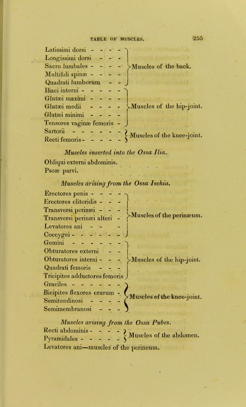 Latlssimi dorsi - - - Longissimi dorsi - - Sacro lumbales - - - Multifidi spines - - - Quadrati lumborura Iliaci interni - - - - Glutaei maximi - - - Glutaei raedii - - - Glutaei minimi - - - Tensores vag-inae femoris Sartorii - - _ _ _ Recti femoris - - - - A >Muscles of the back. J ^Muscles of the hip-joint. Muscles of the knee-joint. Muscles inserted into the Ossa Ilia. Obliqui externi abdominis. Psoas parvi. Muscles arising from the Ossa Ischia. 1 )>Muscles of the perinaeum. 1 Erectores penis - - - Erectores clitoridis - - Transversi perinaei - Transversi perinaei alteri Levatores ani - - Coccygei - - - - - Gemini - - - - _ Obturatores externi Obturatores interni - - - ^Muscles of the hip-joint. Quadrati femoris - - - Tricipites adductores femoris ^ Graciles ------ Bicipites flexores crurum - Semitendinosi - - - - Semimembranosi - - - > Muscles of the knee-joint. Muscles arising from the Ossa Pubes. Recti abdominis Pyramidales ^ Muscles of the abdomen. Levatores ani—muscles of the perineum.