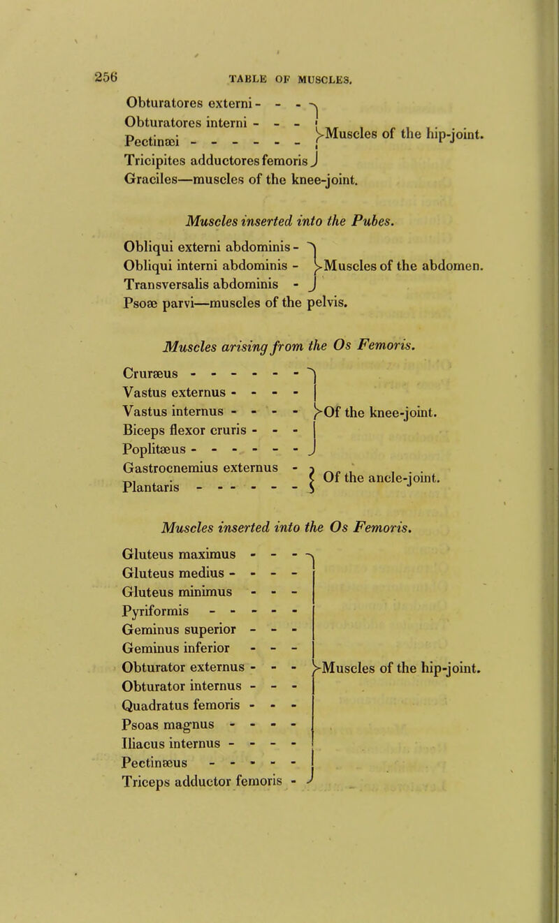 1 Obturatores externi- - - Obturatores interni . Pectijjgci |>Muscles of the hip-joint. Tricipites adductores femoris J Graciles—muscles of the knee-joint. Muscles inserted into the Pubes. Obliqui externi abdominis - Obliqui interni abdominis - ^Muscles of the abdomen. Transversalis abdominis - J Pso® parvi—muscles of the pelvis. Muscles arising from the Os Femoris. Crur®us ------ Vastus externus - - - - Vastus internus - - - - Biceps flexor cruris - - - Poplit®us ------ Gastrocnemius externus - Plantaris ------ )^Of the knee-joint. Of the ancle-joint. Muscles inserted into the Os Femoris. Gluteus maximus - - - Gluteus medius - - - - Gluteus minimus - - - Pyriformis _ - - - - Geminus superior - - - Geminus inferior - - - Obturator externus - - - Obturator internus - - - Quadratus femoris - - - Psoas magnus - - - - Iliacus internus - - - - Pectinmus - - - - - Triceps adductor femoris - ^Muscles of the hip-joint. I J