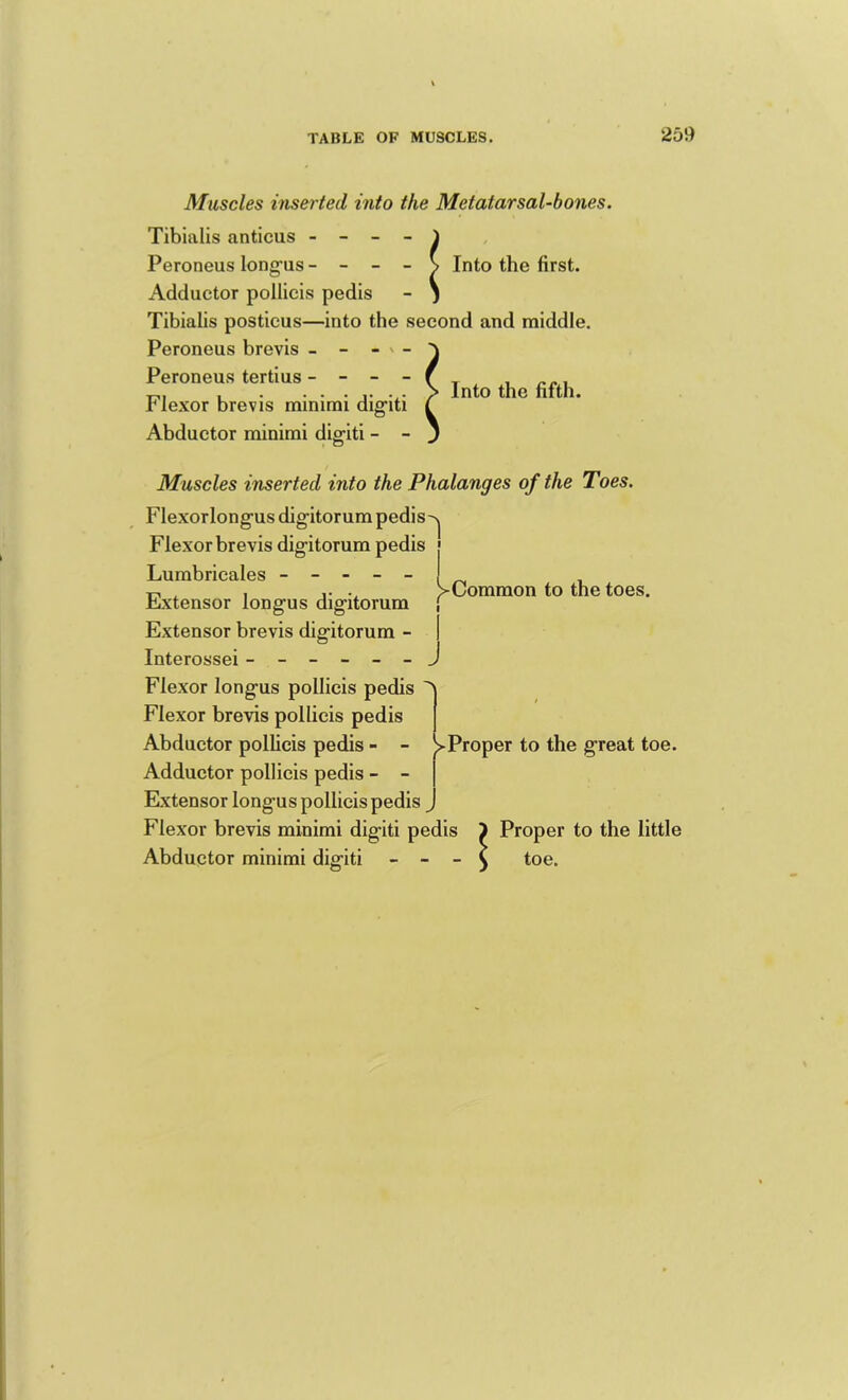 MiLscles inserted into the Metatarsal-bones. Tibialis anticus - - - - i Peroneus long-us - - - - s Into the first. Adductor pollicis pedis - j Tibialis posticus—into the second and middle. Peroneus brevis - - - » - Peroneus tertius - - - - Flexor brevis minimi dig“iti Abductor minimi digiti - - Into the fifth. Muscles inserted into the Phalanges of the Toes. Flexorlongus digitorum pedis^ Flexor brevis digitorum pedis • Lurabricales , ^ ^ . .. . VCommon to the toes. Fxtensor longus digitorum | Extensor brevis digitorum - Interossei ------ Flexor longus pollicis pedis Flexor brevis pollicis pedis Abductor pollicis pedis - - ^Proper to the great toe. Adductor pollicis pedis - - Extensor longus pollicis pedis Flexor brevis minimi digiti pedis > Proper to the little Abductor minimi digiti - ■ - > toe-