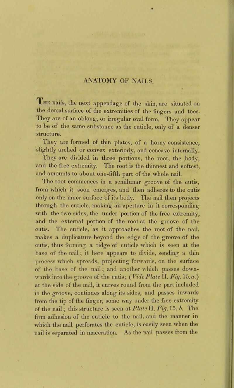 xHE nails, the next appendag’e of the skin, are situated on the dorsal surface of the extremities of the fingers and toes. 1 hey are of an oblong, or irregular oval form. Tliey appear to be of the same substance as the cuticle, only of a denser structure. They are formed of thin plates, of a horny consistence, slightly arched or convex exteriorly, and concave internally. They are divided in three portions, the root, the .body, and the free extremity. The root is the thinnest and softest, and amounts to about one-fifth part of the whole nail. The root commences in a semilunar groove of the cutis, from ivhich it soon emerges, and then adheres to the cutis only on the inner surface of its body. The nail then projects through the cuticle, making an aperture in it corresponding with the two sides, the under portion of the free extremity, and the external portion of the root at the groove of the cutis. The cuticle, as it approaches the root of the nail, makes a duplicature beyond the edge of the groove of the cutis, thus forming a ridge of cuticle which is seen at the base of the nail; it here appears to divide, sending a thin process which spreads, projecting forwards, on the surface of the base of the nail; and another which passes down- w'ards into the groove of the cutis; (Vide Plate II. Fig. 15.a.) at the side of the nail, it curves round from the part included in the groove, continues along its sides, and passes inwards from the tip of the finger, some way under the free extremity of the nail; this structure is seen at Plate II. Fig. 15. b. The firm adhesion of the cuticle to the nail, and the manner in w'hieh the nail perforates the cuticle, is easily seen when the nail is separated in maceration. As the nail passes from the