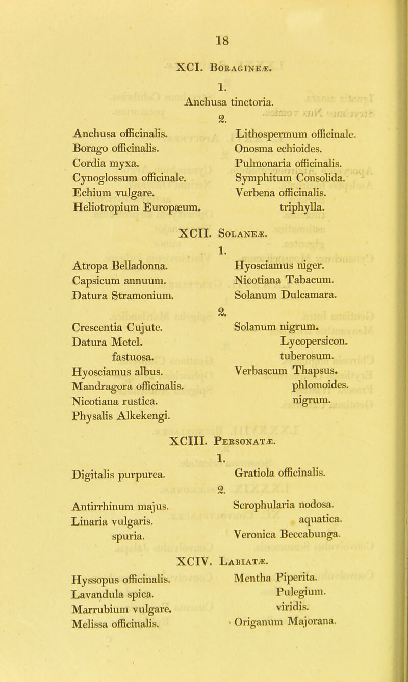 XCI. Boragine^. 1. Anchusa tinctoria. Anchusa officinalis. Borago officinalis. Cordia m3rxa. Cynoglossum officinale. Echium vulgare. Heliotropium Europaeum. XCII. Atropa Belladonna. Capsicum annuum. Datura Stramonium. Crescentia Cujute. Datura Metel. fastuosa. Hyosciamus albus. Mandragora officinalis. Nicotiana rustica. Physalis Alkekengi. XCIII. Digitalis purpurea. AntiiThinum majus. Linaria vulgaris, spuria. XCIV. Hyssopus officinalis. Lavandula spica. Marrubium vulgare. Melissa officinalis. 2. ' Lithospermum officinale. Onosma echioides. Pulmonaria officinalis. Symphitum Consolida. Verbena officinalis. triphyUa. SOLANE.E. 1. Hyosciamus niger. Nicotiana Tabacum. Solanum Dulcamara. 2. Solanum nigrum. Lycopersicon. tuberosum. Verbascum Thapsus. phlomoides. nigrum. Personate. 1. Gratiola officinalis. 2. Scrophulaila nodosa. aquatica. Veronica Beccabunga. LaBIATyE. Mentha Piperita. Pulegium. viridis. > Origanum Majorana.