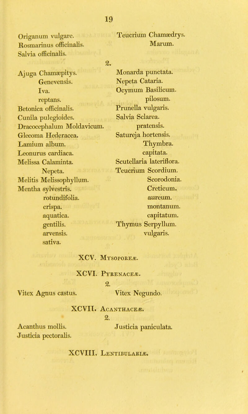 Origanum vulgare. Rosmarinus officinalis. Salvia officinalis. Ajuga Chamaepitys. Genevensis. Iva. reptans. Betonica officinalis. Cunila pulegioides. Dracocephalum Moldavicum. Glecoma Hederacea. Lamium album. Leonurus cardiaca. Melissa Calaminta. Nepeta. Melitis Melissophyllum. Mentha sylvestris. rotundifolia. crispa. aquatica. gentilis. arvensis. sativa. Teucrium Chamaedrys. Marum. 2. Monarda punctata. Nepeta Cataria. Ocymum Basilicum. pilosum. Prunella vulgaris. Salvia Sclarea. pratensis. Satureja hortensis. Thymbra. capitata. Scutellaria lateriflora. Teucrium Scordium. Scorodonia. Creticum. aureum. montanum. capitatum. Thymus Serpyllum. vulgaris. XCV. Mysopore^e. XCVI. PyRENACEiE. 2. Vitex Agnus castus. Vitex Negundo. XCVII. Acanthace^. 2. Acanthus mollis. Justicia paniculata. Justicia pectoralis. XCVIII. LENTIBULARIiE,