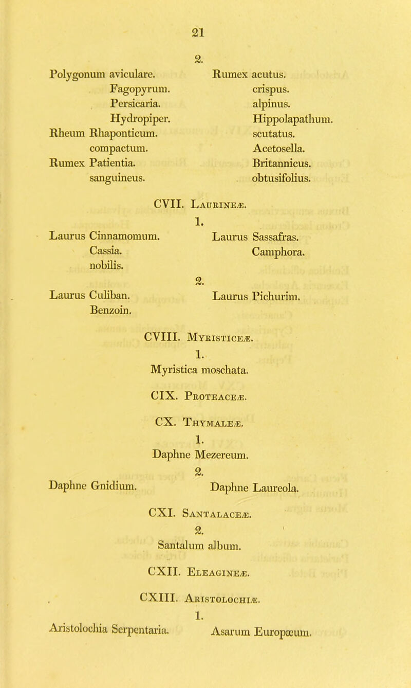 Polygonum aviculai'e. Fagopyrum. Pex'sicaria. Hydi'opiper, Rheum Rhaponticum. compactum. Rumex Patientia. sanguineus. 2. Rumex acutus. crispus. alpinus. Hippolapatlium. scutatus. Acetosella. Britannicus. obtusifolius. evil. Laueine^. 1. Laurus Cinnamomum. Laurus Sassafras. Cassia. Camphora. nobilis. 2. Laurus Culiban. Laurus Pichurim. Benzoin. CVIII. Myeistice^e. 1. Myristica moschata. CIX. PEOTEACEiE. CX. Thymale^. 1. Daphne Mezereum. 2. Daphne GnicHum. Daphne Laureola. CXI. SANTALACEiE. 2. Santalum album. CXII. EleaginEvE. . CXIII. Aeistolochia:. 1. Ajdstolocliia Scrpentai'ia, Asajfum Europscum,