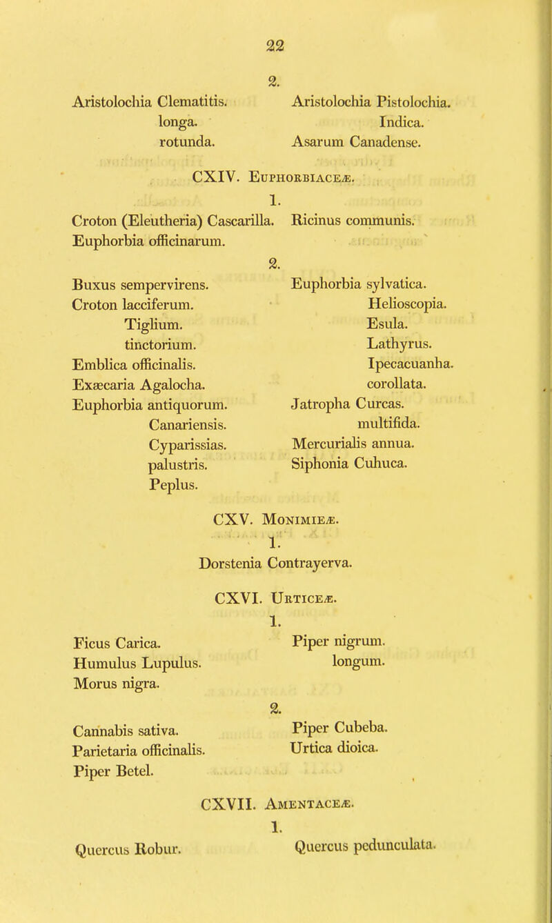 2. Aristolochia Clematitis. Aristolochia Pistolochia. longa. Indica. rotunda. Asarum Canadense. CXIV. EuPHORBIACEiE. 1. Croton (Eleutheria) Cascarilla. Ricinus conmiunis. Euphorbia officinarum. Buxus sempervirens. Croton lacciferuHi. Tiglium. tinctorium. Emblica officinalis. Exaecaria Agalocha. Euphorbia antiquorum. Canariensis. Cyparissias. palustris. Peplus. CXV. Monimie^. ‘ 1. Dorstenia Contrayerva. 2. Euphorbia sylvatica. Hehoscopia. Esula. Lathyrus. Ipecacuanha, corollata. Jatropha C ureas. multifida. Mercurialis annua. Siphonia Cuhuca. CXVI. Urtice^. Ficus Carica. Humulus Lupulus. Morus nigra. Cannabis sativa. Parietaria officinalis. Piper Betel. 1. Piper nigrum, longum. 2. Piper Cubeba. Urtica dioica. CXVII. AMENTACEiE. 1. Qucrcus Robur. Quercus pcdunculata.