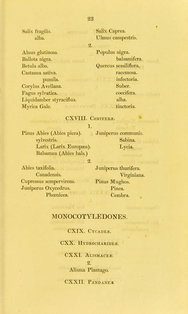 Salix fVagilis. o Salix Caprea. alba. 2. Alnus glutinosa. Ulmus campestris. Populus nigra. Ballota nigra. balsamifera. Betula alba. Quercus sessiliflora. Castanea sativa. racemosa. pumila. infectoria. Corylus Avellana. Suber. Fagus sylvatica. coccifera. Liquidamber styraciflua. alba. Myrica Gale. tinctoria. CXVIII. CoNIFERiE. 1. Pinus Abies (Abies picea). Juniperus communis. sylvestris. Sabina. Larix (Larix Europaea). Balsamea (Abies bals.) Lycia. 2. Abies taxifolia. Juniperus thurifera. Canadensis. Virginiana, Cupressus sempervirens. Pinus Mughos. Juniperus Oxycedrus. Pinea. Phcenicea. Cembra. MONOCOTYLEDONES. CXIX. Cycade^. CXX. HYDROCHARIDEiE. CXXI. Alismace^. 2. AJisma Plantago. CXXII. Pandane.k
