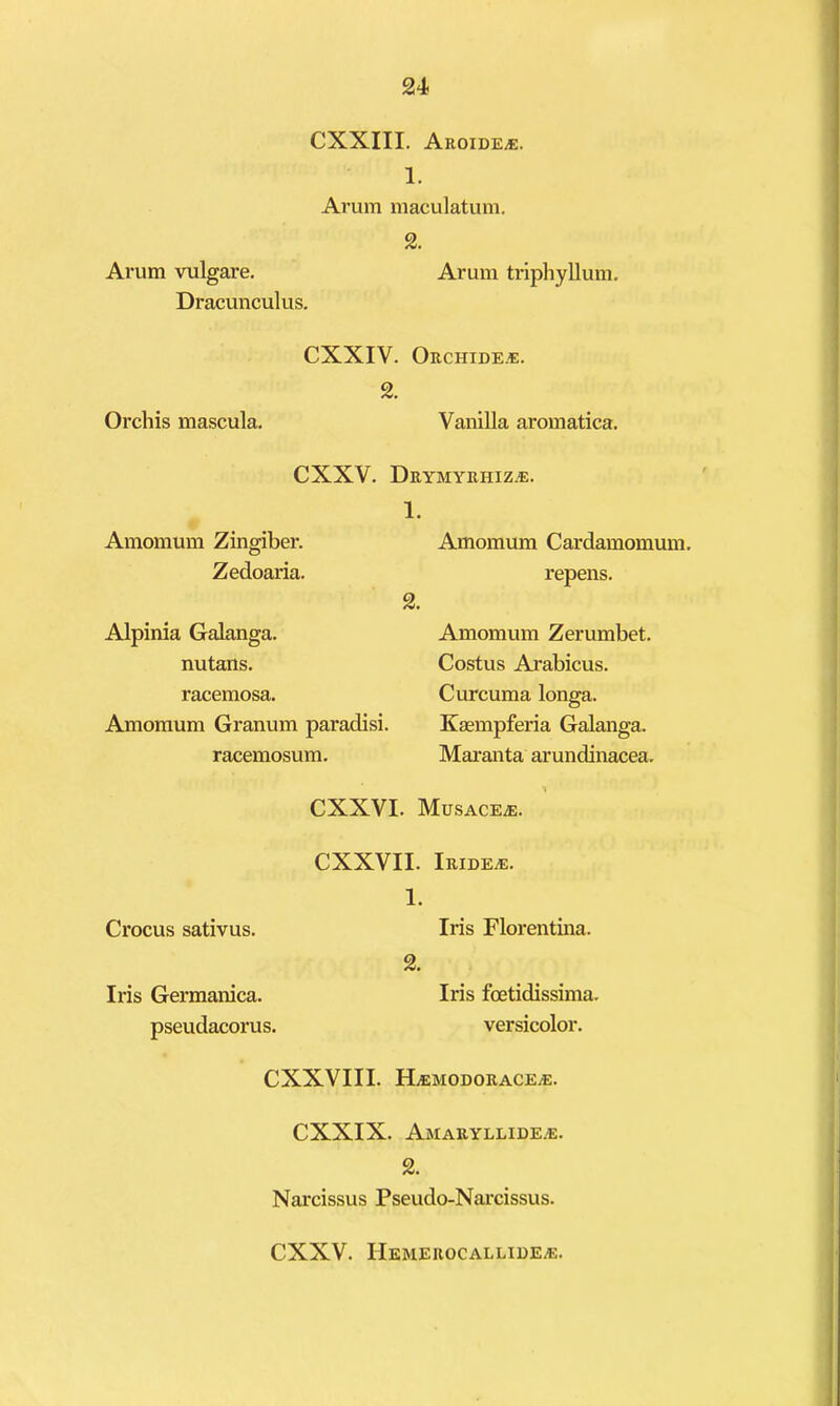 CXXIII. Aeoide^. 1. Arum maculatum. 2. Arum vulgare. Arum triphyllum. Dracunculus. CXXIV. Oechide-e. 2. Orchis mascula. Vanilla aromatica. CXXV. Deymyehize. 1. Amomum Zingiber. Zedoaria. 2. Alpinia Galanga. nutans, racemosa. Amomum Granum paradisi. racemosum. Amomum Cardamomum. repens. Amomum Zerumbet. Costus Arabicus. Curcuma longa. Ksempferia Galanga. Maranta arundinacea. CXXVI. Musacee. CXXVII. Ieidee. Crocus sativus. Iris Germanica. pseudacorus. 1. Iris Florentina. 2. Iris foetidissima. versicolor. CXXVIII. Hemodoeacee. CXXIX. Aaiaeyllide.e. 2. Narcissus Pseudo-Narcissus. CXXV. Hemeeocallidee.