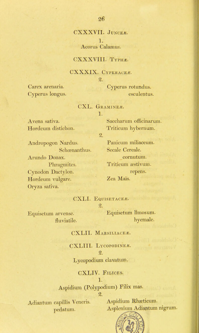 CXXXVII. JUNCE^. 1. Acorus Calamus. CXXXVIII. Typh^. CXXXIX. Cyperace/E. Carex ai'enaria. Cyperus longus. CXL. Avena sativa. Hordeum distichon. Andropogon Nai’dus. Schoenanthus. Arundo Donax. Phragmites. Cynodon Dactylon. Hordeum vulgare. Oryza sativa. 2. Cyperus rotundus. esculentus. GrAMINEjE. 1. Saccharum officinarum. Triticura hybernum. 2. Panicum mibaceum. Secale Cereale. comutum. Triticum aestivum. repens. Zea Mai’s. CXLI. Eq,uisetace.e. 2. Equisetum ai'vense. Equisetum limosum. fluviatile. hyemale. CXLII. Marsiliace.e. CXLIII. Lycopodine^. 2. Lycopodium clavatum. CXLIV. Filices. 1. Aspidium (Polypodium) Filix mas. ' 2. Adiantum capillis Veneris. Aspidium Rhseticum. pedatum. AspleniimAdiantum nigrum.