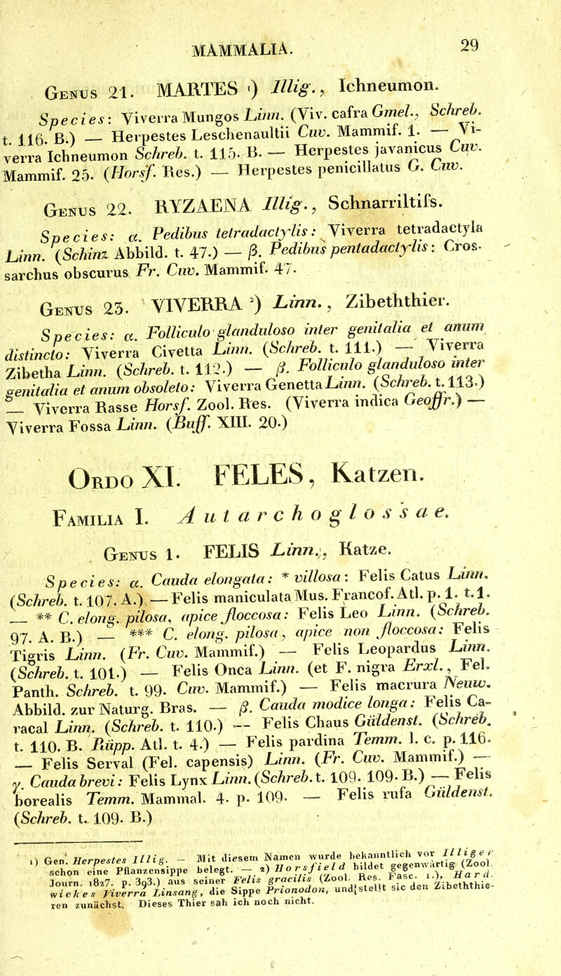Genus 21. MARTES ■) IlUg-, Ichneumon. Species-, Viverra Mungos Lin«. (Vlv. cafra Gme/., Schreh. t 116 ß l Hei'pestes LeschenauUu Ciiv. Mammii. 1. y'^- ^erra Ichneumon Schreh. t. 11.^. ß. - Hcrpestes javanicus Cav. Mammif. 2b. {Horsf.Vye^.) — Herpestes pemcillatus G. Ciiu. Genus 22. RYZAEiMA llUg-, SchnaniltUs. Species: «. Pedibus telradactylis: Yirerra tetradactyla Linn. {Schim Abbild, t. 47.) — ß. Pedibiis pentadactyhs-. Gros, sarchus obscurus Fr. Ciiv. Mammif. 47. Genus 23. VIVERRA “) Linn., Zibeththier. Soecies: a Folliculo'ghmdnloso inier genitalia et amm distincto: Vivena Civetta Linn. {Schreh. t. lll.) — Yiverra ZibethaEinn. (ScAreb. t. 112.) - ß. FoUwnlo g anduloso inte, senitalia et aniim ohsoleto: Viverra GenettaLz/zw. {Schieh.t.1%^:) Viverra Rasse Horsf. Zool. Res. (Viverra indica t^eojjr,) — Viverra Fossa Linn. XRI. 20*) Ordo XI. b EjI-jES ^ K.Rtz0n. Familia I. A u t a r c h o ^ l o s s a e. Genus 1. FELIS Linn. , Katze. Species: a. Cauda elongata: * villosa: Felis Catus Linn. (Schreh. 1.107. A.), —Felis maniculataMus. Francof. Atl. V-Ll-L C. eloiiQ. pilosa, apiceßoccosa: Felis Leo Linn. (bchreb. 97 AB) C- e/o72g. pilosa, apice non ßoccosa: Felis Tigris Linn. {Fr. Cuv. Mammif.) — Felis Leopardus Linn (Schreh. t. 101.) — Felis Onca Linn. (et F. nigra hrxL.,\eL Vanih. Schreh. t. 99- C«u. Mammif.) — Felis macrura Wen«. Abbild, zur Naturg.ßras. — ß. Cauda modice longa: ^ ehsCa- racal Linn. {Schreh. t. 110.) — Felis Cbaus Güldenst, (.l^chreb. t. 110. B. Riipp. All. t. 4.) — Felis pardina Temm. C c. p. 116. Felis Serval (Fel. capensis) Linn. (Fr. Cuv. ManimilO - y Candabrevi: FelWGynx Linn.{Schreh.t. 109- 109-ß.)—Fehs borealis Temm. Mammal. 4- p- 109- — Felis rufa Güldenst. (Schreh. t. 109- B«) ren zunächst. Dieses Thier sah ich noch nicht.