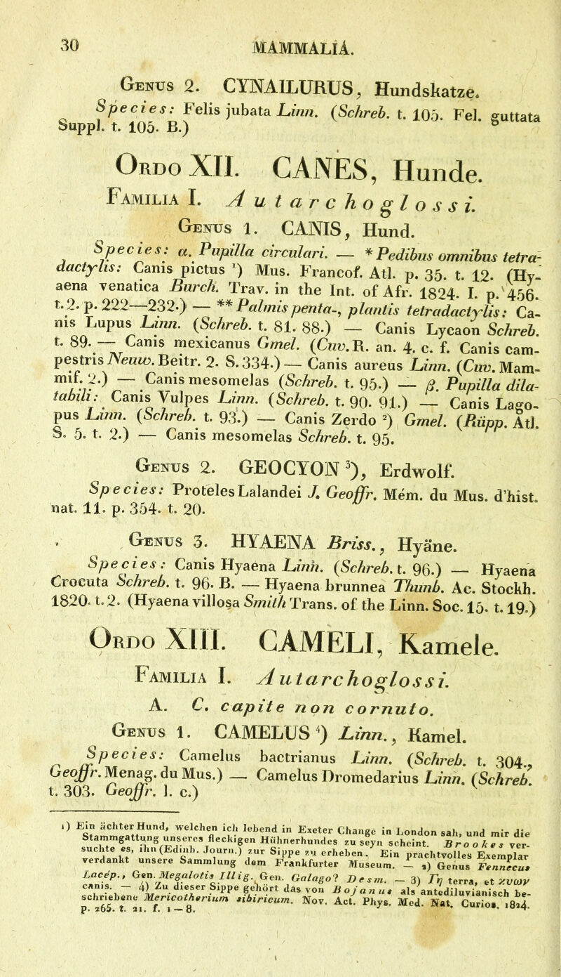 Genus 2. CYNAILÜRÜS^ Hundskatze* Species: Felis jubata Lz'wi. {Schreb. t. 105. Fel. guttata Suppl. t. 105. B.) ^ OrdoXII. CANES, Hunde. Familia I. ^ Uta rchoglossi. Genus 1. CANIS, Hund. Species; a. PiipiUa circnlari. - * Pedibm omnihm tetra- dactylis: Cams pictus ') Mus. Francof. Atl. p. 35. t. 12. (Hy- aena venatica Burch. Trav. in the Int. ofAfr. 1824. I. p.'456. t. 2. p. 222 -232.} ** Palmis penta-^ plantis tetradactylü: Ca- ms Lupus Linn. {Schreb. t. SL S8.) — Canis Ljcaon Schreb. ^9. “ Canis mexicanus Gmel. (Cuv.L. an. 4. c. f. Canis cam- pestris iVeuzo.Beitr. 2. S. 334.) — Canis aureus Unn. (Cup.Mam- (5cAre5. t. 95.) — ß, Piipilla dila- Canis Vulpes Linn. (ScÄreA t. 90. 91.) — Canis Lago- pus Lmn. {Schreb. t. 93.) — Canis Zerdo ^) Gmel. {Rüpp. Atl. S. 5. t. 2.) — Canis mesomelas Schreb. t. 95. Genus 2. GEOCYON 0, Erdwolf. Species: ProtelesLalandei J, Geoffr, Mem. du Mus. d’hist. nat. 11. p. 354. t. 20. Genus 3. HYAENA Briss,^ Hyäne. Species: Canis Ujaena Link. {Schreb. t. 96.) — Hyaena Crocuta Schreb. t. 96. B. — Hyaena brunnea Thimb. Ae. Stocbh. 1820. t. 2. (Hyaena villosa Smith Trans, of the Linn. Soc. 15. 1.19.) Ordo XIIL CAMELI, Kamele- Familia I. Autarchoglossi. A. C. capite non cornuto, Genus 1. CAMELUS') Linn., Kamel. Species; Camelus bactrianus Linn, (Schreb t 304 GeoJ}-.Menag.cluMus.) _ Camelus Dromedarius Linn. (Schreb t. 303. Gepßr. 1. c.) ' .) Ein ächUrHund, wslch.n ich lebend in Exeter Change in London sah, und mir die Stammgattung unseres fleckigen Hühnerhundes zu seyn scheint Br o o k e s vor snehte es, ih„(Edinh. Jonrnj snr Sippe an „heben / Etrpraehtv^ms Ex^mplae verdankt unsere Sammlung dem Frankfurter Museum. I ,) Genus Lace'p., Gen. Mega/otis inis. Ger^. Gnlago? Desm. -3) T»? terra, et canis. - 4) Zu dieser Sippe ge)iort das von Bojanu, als antediluvianisch he- schriebene Mericotherium »ibiricum. Nov. Act. Phys. Med. Nat. Curio« VSa4