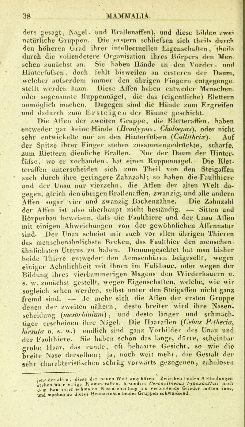 ders gesagt«, Nägel- und Krailenaffen). und diese bilden iawei natürliche Gruppen. Die erstem schliefsen sich theils durch den höheren Grad ihrer intellectuellen Eigenschaften, theils durch die vollendetere Organisation ihres Körpers den Men^ sehen zunächst an. Sie haben Hände an den Vorder- und Hinteifürsen, doch fehlt bisweilen an ei'steren der Daum, welcher aufserdem immer den übrigen Fingern entgegenge- stellt werden kann. Diese Alfen haben entweder Menschen- oder sogenannte Klippennägel, die das (eigentliche) Klettern unmöglich machen. Dagegen sind die Hände zum Ergreifen und dadurch zum Ersteigen der Bäume geschickt. Die Affen der zweiten Gruppe, die Kletteraffen, haben entweder gar keine Hände (Bradypus y Choloepus)^ oder nicht sehr entwickelte nur an den Hinterfüfsen (Callithrix). Auf der Spitze ihrer Finger stehen zusammengedrückte^ scharfe, zum Klettern dienliche Krallen. Nur der Daum der Hinter- füfse, wo er vorhanden, hat einen Kuppennagel. Die Klet- teraffen unterscheiden sich zum Theil von den Steigaffen auch durch ihre geringere Zahiizahl; so haben die Faulthiere und der ünau nur vierzehn, die Affen der alten Weit da- gegen, gleich den übrigen Krailenaffen, zwanzig, und alle andern Affen sogar vier und zwanzig Backenzähne. Die Zahnzahl der Affen ist also überhaupt nicht beständig. — Sitten und Körperbau beweisen, dafs die Faulthiere und der ünau Affen mit einigen Abweichungen von der gewöhnlichen Affennatur sind. Der ünau scheint mir auch vor allen übrigen Thieren das menschenähnlichste Becken, das Faulthier den menschen- ähnlichsten Uterus zu haben. Demungeachtet hat man bisher beide Thiere entweder den Aemsenbären beigesellt, wegen einiger Aehnlichkeit mit ihnen im Fufsbaue, oder wiegen der Bildung ihres vierkammei igen Magens den Wiederkäuern u. s. w. zunächst gestellt, wegen Eigenschaften, welche, wie wir sogleich sehen werden, selbst unter den Steigaffen nicht ganz fremd sind. — Je mehr sich die Affen der ersten Gruppe denen der zweiten nähern, desto breiter wird ihre Nasen- scheidung (rnesorhimiim) , und desto länger und schmäch- tiger erscheinen ihie Nägel. Die Haaraffen {Cebiis Pithecia^ hirsuta u. s. w.) endlich sind ganz Vorbilder des ünau und der Faulthiere. Sie haben schon das lange, dürre, scheinbar grobe Haar, das runde, oft behaarte Gesicht, so wie die breite Nase derselben; ja, noch weit ineh«-, die Gestalt der sehr chaiakteristischen schräg vorwärts gezogenen, zahnlosen ieiio der alten , diese der neuen Welt an^ebören Zwischen heid-n Ahfheilungen stehen tiber einige HlammerafTen, beSOlldlr^ Cerco/jitfiecus ftypoxanthu^ n uh dem Hau ihrer schmaifn Nasenscheiduug als verbindende Glieder mitten iiinc, und machen su dieses Hennzeichen beider Gruppen schwankend.