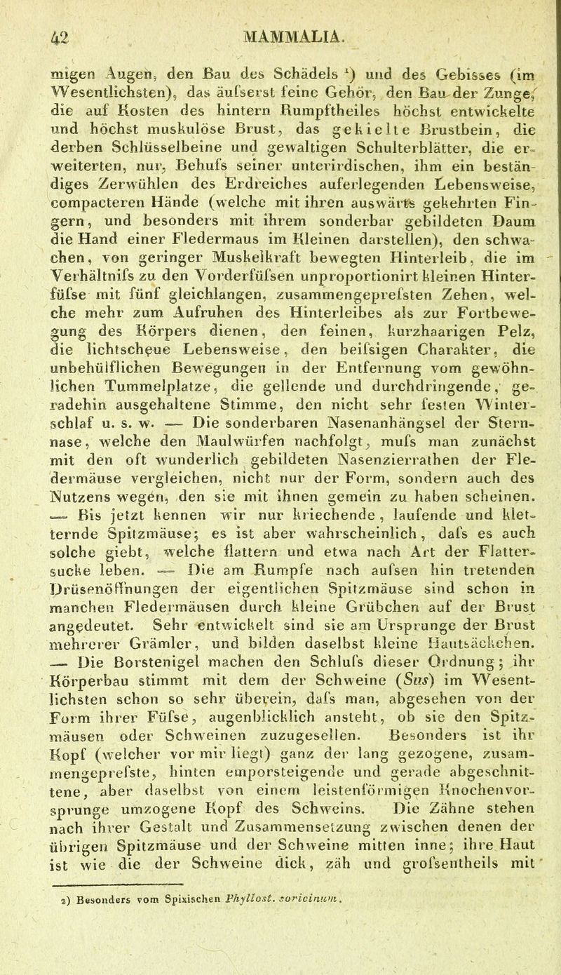 migen Augen, den Bau des Schädels und des Gebisses (im Wesentlichsten), das äufserst feine Gehör, den Bau der Zunge/ die auf Kosten des hintern Rumpftheiles höchst entwickelte und höchst muskulöse Brust, das gekielte Brustbein, die derben Schlüsselbeine und gewaltigen Schulterblätter, die er= weiterten, nur, Behufs seiner unterirdischen, ihm ein bestän- diges Zerwühlen des Erdreiches auferlegenden Lebensweise, compacteren Hände (welche mit ihren auswärt« gekehrten Fin- gern, und besonders mit ihrem sonderbar gebildeten Daum die Hand einer Fledermaus im Kleinen darstellen), den schwa- eben, von geringer Muskelkraft bewegten Hinterleib, die im Verhältnifs zu den Vorderfüfsen unproportionirt kleinen Hinter- füfse mit fünf gleichlangen, zusamrnengeprefsten Zehen, wel- che mehr zum Aufruhen des Hinterleibes als zur Fortbewe- gung des Körpers dienen, den feinen, kurzhaarigen Pelz, die lichtscheue Lebensweise, den beifsigen Charakter, die unbehüiflichen Bewegungen in der Entfernung vom gewöhn- lichen Tummelplätze5 die gellende und durchdringende, ge- radehin ausgehaltene Stimme, den nicht sehr festen Winter- schlaf u. s. w. ““ Die sonderbaren Nasenanhängsel der Stern- nase, welche den Maulwürfen nachfolgt, mufs man zunächst mit den oft wunderlich gebildeten Nasenzierralhen der Fle- dermäuse vergleichen, nicht nur der Form, sondern auch des Nutzens wegen, den sie mit ihnen gemein zu haben scheinen. — Bis jetzt kennen wir nur ki iechende , laufende und klet- ternde Spitzmäuse; es ist aber wahrscheinlich, dafs es auch solche giebt, welche flattern und etwa nach Art der Flatter- suche leben. Die am Rumpfe nach aufsen hin tretenden Drüsenöd’nungen der eigentlichen Spitzmäuse sind schon in manchen Fledermäusen durch kleine Grübchen auf der Brust angedeutet. Sehr entwickelt sind sie am Ursprünge der Brust mehrerer Grämler, und bilden daselbst kleine Hautsäckeben. —» Die Borstenigel machen den Schlufs dieser Ordnung; ihr Körperbau stimmt mit dem der Schweine (Siis) im Wesent- lichsten schon so sehr überein, dafs man, abgesehen von der Form ihrer Füfse, augenblicklich ansteht, ob sie den Spitz- mäusen oder Schweinen zuzugesellen. Besonders ist ihr Kopf (welcher vor mir liegt) ganz der lang gezogene, ziisam- mengeprefste, hinten emporsteigende und gerade abgeschnit- tene, aber daselbst von einem leistenförmigen Knochen Vor- sprunge umzogene Kopf des Schw^eins. Die Zähne stehen nach ihrer Gestalt und Zusammenseizung zwischen denen der übrigen Spitzmäuse und der Schweine mitten inne; ihre Haut ist wie die der Schweine dick, zah und grofsentheils mit a) Besonders vom Spixischen Jor/cfVi/i'/j.
