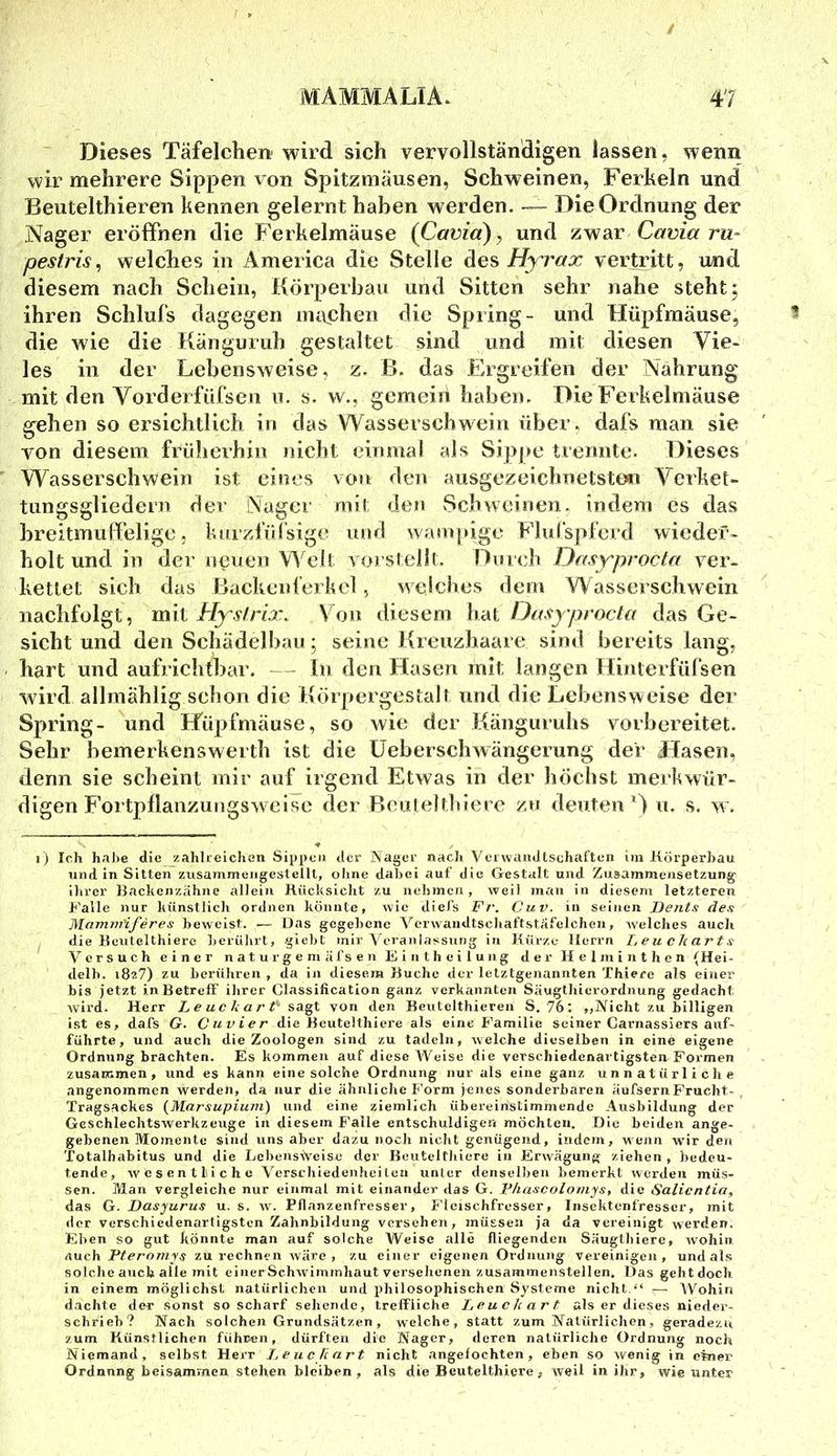 Dieses Täfelchen* wird sich vervollständigen lassen, wenn wir mehrere Sippen x on Spitzmäusen, Schweinen, Ferkeln und Beutelthieren kennen gelernt haben werden. — Die Ordnung der Nager eröffnen die Ferkelmäuse {Caviä)^ und zwar Cavia ru- pestris, welches in America die Stelle äes Hy'j'ax vertritt, und diesem nach Schein, Körperbau und Sitten sehr nahe steht; ihren Schlufs dagegen mixchen die Spring- und Hüpfmäuse, die wie die Känguruh gestaltet sind und mit diesen Vie- les in der Lebensweise, z. B. das Ergreifen der Nahrung mit den Vorderfüfscn u. s. w., gemein haben. Die Ferkelmäuse gehen so ersichtlich in das Wasserschwein über, dafs man sie von diesem friiherhin nicht einmal als Sipj»e trennte. Dieses Wasserschwein ist eines von den ausgezeichnetstt»i Verket- tungsgliedern der iNager mit den Schweinen, indeni cs das breitmuffelige; hurzfufsige und wasupige Elurspferd wieder- holt und in dei- neuen Welt vorst ellt. Du i ch OffSYprocia ver- kettet sich das Backenferkel, weiches dem Wasserschwein naclifolgt, mit Hysfrix. Von diesem liat Oasyprocla das Ge- sicht und den Schädelhau; seine Kreuzhaare siml bereits lang, hart und aufrichthar. — lu den Hasen mit langen Hinterfüfsen wird allmählig schon die Körpergestalt und die Lebensweise der Spring- und Hüpfmäuse, so wie der Känguruhs vorbereitet. Sehr bemerkenswertb ist die Üeberschwängerung der Hasen, denn sie scheint mir auf irgend Etwas in der höchst merkwür- digen Fortpflanzungsweise der Bcnielllilere zu deuten D n. s. w. i) Ich habe die zahlreichen Sippen der Nager nacli Verwandtschaften im Körperbau nudln Sitten zusammengestelll, ohne dabei auf die Gestalt und Zusammensetzung llu’cr Backenzahne allein Kücksicht zu nehmen, weil man in diesem letzteren h'alle nur künstlich ordnen könnte, wie diefs Fr. Cuv. in seinen Denta de/t Moiniififeres beweist. — Das gegebene Verwaiidtschaftstafelchen, welches auch die Beulelthierc ]>eiülirt, gieht mir Veranlassung in Kürze Herrn Leuckarts Versuch einer naturgemäfsen Eintheilung der Helminthen (Hei- delh. i8z7) zu berühren, da in diesem Buche der letztgenannten Thiere als einer bis jetzt in Betreff ihrer Classification ganz verkannten Säugthierordnung gedacht wird. Herr L e uc k a r t'- von den Beutelthieren S. 76: „Nicht zu billigen ist es, dafs G. Cuvier die Beutelthiere als eine Familie seiner Carnassiers auf- führte, und auch die Zoologen sind zu tadeln, welche dieselben in eine eigene Ordnung brachten. Es kommen auf diese Weise die verschiedenartigsten Formen zusammen, und es kann eine solche Ordnung nur als eine ganz unnatürliche angenommen werden, da nur die ähnliche f’orm jenes sonderbaren äufsernPrucht- Tragsackes (Marsupium) und eine ziemlich übereinstimmende Ausbildung der Geschlechtswerkzeuge in diesem Falle entschuldigen möchten. Die beiden ange- gebenen Momente sind uns aber dazu noch nicht genügend, indem, weiin wir den Totalbabitus und die Lebensweise der Beutelthiere in Erwägung ziehen , bedeu- tende, wesentliche Versrhiedenheilea unter denselben bemerkt werden müs- sen. Man vergleiche nur einmal mit einander das G. F/iattcolomys, die Salicntia, das Q. Dasyurus u. s. w. Pflanzenfresser, Fleischfresser, Insektenfresser, mit der verschiedenartigsten Zahnbildung versehen, müssen ja da vereinigt werden. Ehen so gut könnte man auf solche Weise alle fliegenden Säuglhiere, wohin Auch Pt er nmys zu rechnen Aväre , zu einer eigenen Ordnung vereinigen, und als solche auch alle mit einer Schwimmhaut versehenen zusammenstellen. Das gehtdoch in einem möglichst natürlichen und philosophischen Systeme nicht.“ — AVohin dachte der sonst so scharf sehende, treffliche Leuckart als er dieses nieder- schrieb? Nach solchen Grundsätzen, welche, statt zum Natürlichen, geradezu zum Künstlichen führen, dürften die Nager, deren natürliche Ordnung noch Niemand, .selbst Herr Leuckart nicht angefochten, eben so wenig in ekner Ordnung beisammen stehen bleiben, als die Beutelthiere, weil in iJir, wie unter
