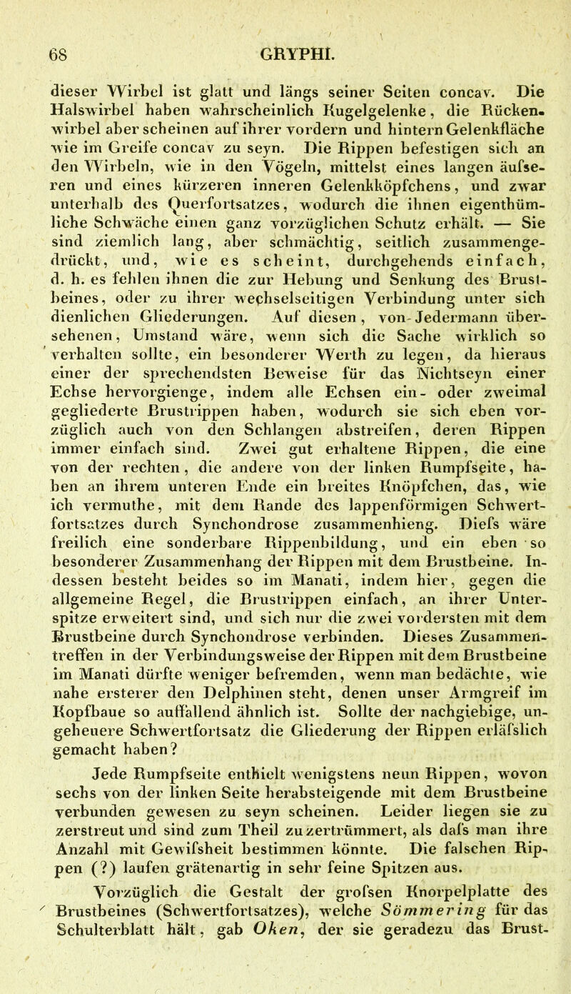 dieser Wirbel ist glatt und längs seiner Seiten concav. Die Halswirbel haben wahrscheinlich Kugelgelenke, die Rücken- wirbel aberscheinen auf ihrer vordem und hintern Gelenkfläche wie im Greife concav zu seyn. Die Rippen befestigen sich an den Wirbeln, wie in den Vögeln, mittelst eines langen äufse- ren und eines kürzeren inneren Gelenkköpfchens, und zwar unterhalb des Querfortsatzes, wodurch die ihnen eigenthüm- liche Schwäche einen ganz vorzüglichen Schutz erhält. — Sie sind ziemlich lang, aber schmächtig, seitlich zusammenge- drückt, und, wie es scheint, durchgehends einfach, d. h. es fehlen ihnen die zur Hebung und Senkung des Rrusl- beines, oder zu ihrer wechselseitigen Verbindung unter sich dienlichen Gliederungen. Auf diesen, von-Jedermann über- sehenen, Umstand wäre, wenn sich die Sache wirklich so verhalten sollte, ein besonderer Werth zu legen, da hieraus einer der sprechendsten Beweise für das Nichtseyn einer Echse hervorgienge, indem alle Echsen ein- oder zweimal gegliederte Brustrippen haben, wodurch sie sich eben vor- züglich auch von den Schlangen abstreifen, deren Rippen immer einfach sind. Zwei gut erhaltene Rippen, die eine von der rechten, die andere von der linken Rumpfsgite, ha- ben an ihrem unteren Ende ein breites Knöpfchen, das, wie ich vermuthe, mit dem Rande des lappenförmigen Schwert- fortsatzes durch Synchondrose zusammenhieng. Diefs wäre freilich eine sonderbare Rippenbildung, und ein eben so besonderer Zusammenhang der Rippen mit dem Brustbeine. In- dessen besteht beides so im Manati, indem hier, gegen die allgemeine Regel, die Brustrippen einfach, an ihrer Unter- spitze erweitert sind, und sich nur die zwei vordersten mit dem Brustbeine durch Synchondrose verbinden. Dieses Zusammen- treffen in der Verbindungsweise der Rippen mit dem Brustbeine im Manati dürfte weniger befremden, wenn man bedächte, wie nahe ersterer den Delphinen steht, denen unser Armgreif im Kopfbaue so auffallend ähnlich ist. Sollte der nachgiebige, un- gebeiiere Schwertfortsatz die Gliederung der Rippen erläfslich gemacht haben? Jede Rumpfseite enthielt w^enigstens neun Rippen, wovon sechs von der linken Seite herabsteigende mit dem Brustbeine verbunden gewesen zu seyn scheinen. Leider liegen sie zu zerstreut und sind zum Theil zu zertrümmert, als dafs man ihre Anzahl mit Gewifsheit bestimmen könnte. Die falschen Rip-. pen (?) laufen grätenartig in sehr feine Spitzen aus. Vorzüglich die Gestalt der grofsen Knorpelplatte des Brustbeines (Schwertfortsatzes), welche Sömmeriiig für das Schulterblatt hält, gab Oken, der sie geradezu das Brust-