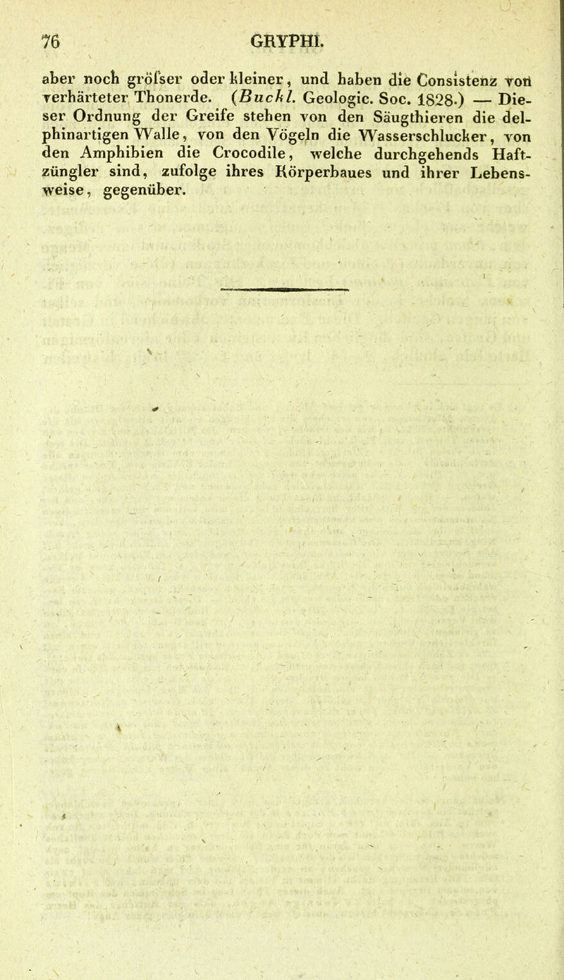 aber noch gröfser oder kleiner, und haben die Consistenz toü Terhärteter, Thonerde. (Buchl. Geologie. Soc. 1828-) — Die- ser Ordnung der Greife stehen von den Säugthieren die del- phinartigen Walle 5 von den Vögeln die Wasserschlucker, von den Amphibien die Crocodile, welche durchgehends Haft- züngler sind, zufolge ihres Körperbaues und ihrer Lebens- weise , gegenüber.