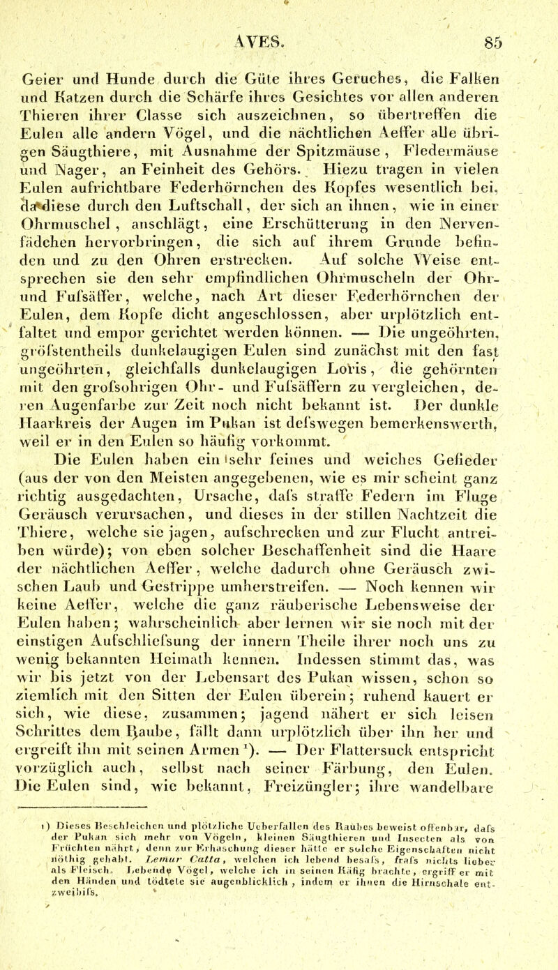 Geier und Hunde durch die Güte ihres Geruches^ die Falken und Katzen durch die Schärfe ihres Gesichtes vor allen anderen Thieren ihrer Classe sich auszeichnen, so übertreffen die Eulen alle andern Vögel, und die nächtlichen Aeffer alle ührh gen Säugthiere, mit Ausnahme der Spitzmäuse , Fledermäuse und Nager, an Feinheit des Gehörs. Hiezu tragen in vielen Eulen aufrichtbare Federhörnchen des Kopfes wesentlich bei, da^<liese durch den Luftschall, der sich an ihnen, wie in einer Ohrmuschel, anschlägt, eine Erschütterung in den Nerven- fädchen hervorbringen, die sich auf ihrem Grunde befin- den und zu den Ohren erstrecken. Auf solche Weise ent- sprechen sie den sehr empfindlichen Ohiänuscheln der Ohr- und Fufsäffer, welche, nach Art dieser F'.ederhörnchen der Eulen, dem Kopfe dicht angeschlossen, aber urplötzlich ent- faltet und empor gerichtet werden können. — Die ungeöhrten, gi öfsteiitheils dunkeläugigen Piulen sind zunächst mit den fast ungeöhrten, gleichfalls dunkeläugigen LoHs, die gehörnteo mit den grofsohrigen Ohr- und P'ufsäffern zu vergleichen, de- ren Augenfarbc zur Zeit noch nicht bekannt ist. Der dunkle Haarkreis der Augen im Pukan ist defswegen bemerkenswerth, weil er in den Eulen so häufig vorkommt. Die Fäulen haben ein isehr feines und weiches Gefieder (aus der von den Meisten angegebenen, wie es mir scheint ganz richtig ausgedachten, Ursache, dafs straffe PVdern im Fluge Geräusch verursachen, und dieses in der stillen Nachtzeit die Thiere, welche sie jagen, aufschrecken und zur Flucht antrei- ben würde); von eben solcher JBeschaffenheit sind die Haare der nächtlichen Aelfer , welche dadurch ohne Geräusch zwi- schen Laub und Gestrippe umherstreifen. — Noch kennen wir keine Aelfer, welche die ganz räuberische Lebensweise der Paulen haben; wahrscheinlich aber lernen wir sie noch mit der einstigen Aufschliefsung der innern Theile ihrer noch uns zu wenig bekannten Hcimath kennen. Indessen stimmt das, was wir bis jetzt von der Lebensart des Pukan wissen, schon so ziemlich mit den Sitten der Eulen überein; ruhend kauert er sich, wie diese, zusammen; jagend nähert er sich leisen Schrittes dem Ij,aube, fällt dann urplötzlich übei’ ihn her und ergreift ihn mit seinen Armen ^). — Der P^lattersuck entspricht vorzüglicli auch, selbst nach seiner Parbung, den Eulen. Die Eulen sind, wie bekannt, PVeizüngler; ihre wandel1)are i) Dieses DcschJeichcn und plötzliche Ueherfallen des Rauhes bcAvcist offenbar, dafs der Puhan sich mehr von Vögeln, hleincn Säuglhierea und lascctcn als von Früchten nährt, denn zur F.rhaschung «liescr hätte er solche Eigenschaften nicht nöthig gehahl. Lemur Catta, ivelchcn ich lebend besal's, frafs nichts lieber nlsFleiscli. Jicbende V'ögel, welcbe ich in seinen Käfig brachte, ergriff er mit den Händen und lödtetc sic augcnbüchlich , indem er ihnen die Hirnschale ent- zweiljifs. '