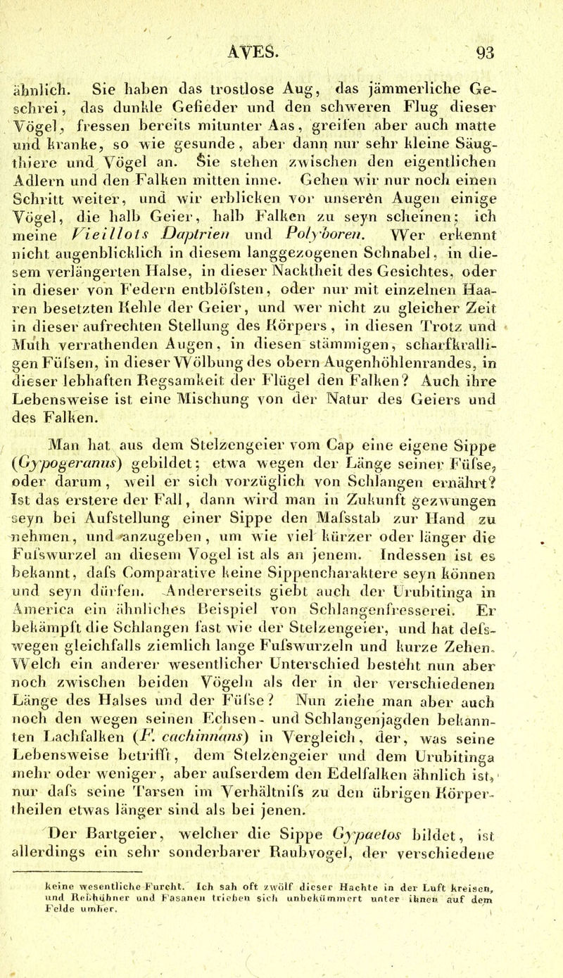 äliBlicli. Sie haben das trostlose Aug, das jämmerliche Ge- schrei, das dunkle Gefieder und den schweren Flug dieser Vögel, fressen bereits mitunter Aas, greifen aber auch matte und kranke, so wie gesunde, aber dann nur sehr kleine Säug- thiere und Vögel an. Sie stehen zwischen den eigentlichen Adlern und den Falken mitten inne. Gehen wir nur noch einen Schritt weiter, und wir erblicken voi’ unserön Augen einige Vögel, die halb Geier, halb Falken zu seyn scheinen; ich meine P^ieillots Daptrieu und Polyhoren. Wer erkennt nicht augenblicklich in diesem langgezogenen Schnabel, in die- sem verlängerten Halse, in dieser Nacktheit des Gesichtes, oder in dieser von Federn entblöfsten, oder nur mit einzelnen Haa- ren besetzten Kehle der Geier, und wer nicht zu gleicher Zeit in dieser aufrechten Stellung des Körpers , in diesen Trotz und Atuth verrathenden Augen, in diesen stämmigen, scharfkralli- gen Füfsen, in dieser Wölbung des obern Augenhöhlenrandes, in dieser lebhaften Regsamkeit der Flügel den Falken? Auch ihre Lebensweise ist eine Mischung von der Natur des Geiers und des Falken. Man hat aus dem Stelzengeier vom Cap eine eigene Sippe {Gy'pogeraniis) gebildet; etwa wegen der Länge seiner Füfse, oder darum, weil er sieb vorzüglich von Schlangen ernährt? Ist das erstere der Fall, dann wird man in Zukunft gezwungen seyn bei Aufstellung einer Sippe den Mafsstab zur Hand zu nehmen, und ■^mzugeben , um wie viel kürzer oder länger die Fufswurzel an diesem Vogel ist als an jenem. Indessen ist es bekannt, dafs Comparative keine Sippencharaktere seyn können und seyn dürfen. Andererseits giebt auch der ürubitinga in America ein ähnliches Beispiel von Schlangenfi’esserei. Er bekämpft die Schlangen fast wie der Stelzengeier, und hat defs- wegen gleichfalls ziemlich lange Fufswurzeln und kurze Zehen, W elch ein anderer wesentlicher Unterschied besteht nun aber noch zwischen beiden Vögeln als der in der verschiedenen Länge des Halses und der Füfse ? Nun zielie man aber auch noch den wegen seinen Echsen - und Schlangenjagden bekann- ten Lachfalken {F. cachinnqns) in Vergleich, der, was seine Lebensweise betrifft, dem Stelzengeier und dem ürubitinga mehr oder weniger, aber aufserdem den Edelfalken ähnlich ist, nur dafs seine Tarsen im A^erhältnifs zu den übrigen Körper- theilen etwas länger sind als bei jenen. '^Der Bartgeier, welcher die Sippe Gj'paetos bildet, ist allerdings ein sehr sonderbarer Raubvogel, der verschiedetie keine wesentliche Furcht. Ich sah oft zwölf dieser Hackte in der Luft kreisen, und Ilel,hiihrier und F'asanen trieben sieJi unbekümmert unter ihnen auf dem Felde umher. ,