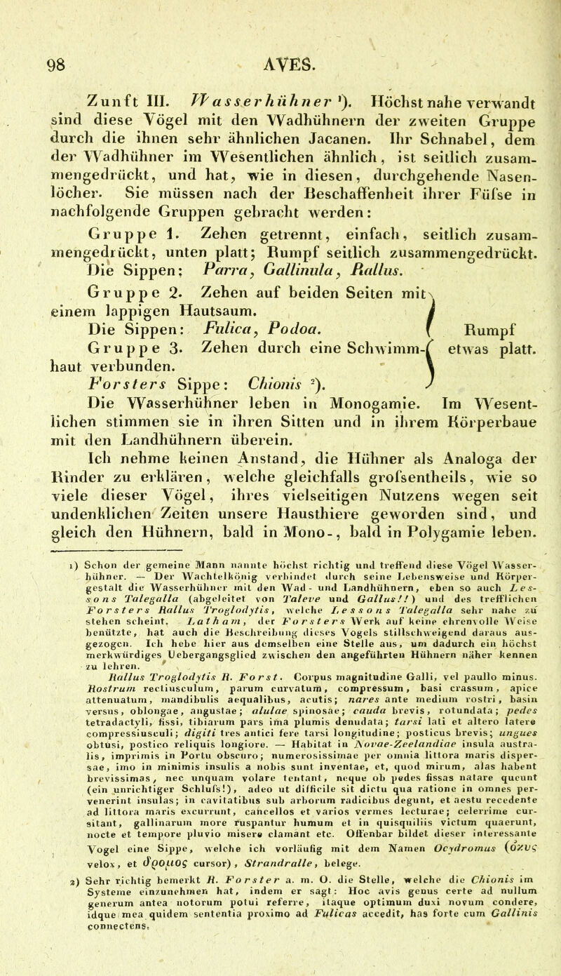Zunft III. asser kühner ^). Höchst nahe verwandt sind diese Yögel mit den Wadhühnern der zweiten Gruppe durch die ihnen sehr ähnlichen Jacanen. Ihr Schnabel, dem der Wadhühner im Wesentlichen ähnlich, ist seitlich zusam- mengedrückt, und hat, wie in diesen, durchgehende Nasen- löcher. Sie müssen nach der Beschaffenheit ihrer Füfse in nachfolgende Gruppen gebracht werden: Gruppe 1. Zehen getrennt, einfach, seitlich zusam- mengedrückt, unten platt; Bumpf seitlich zusammengedrückt. Die Sippen; Parva, Gallinula, Rallus. Gruppe 2. Zehen auf beiden Seiten mit\ einem lappigen Hautsaum, k Die Sippen: Fulica, Podoa, f Rumpf Gruppe 3. Zehen durch eine Schwimm-f etwas platt, haut verbunden. \ Försters Sippe: Chionis -). J Die Wasserhühner leben in Monogamie. Im Wesent- lichen stimmen sie in ihren Sitten und in ihrem Körperbaue mit den Landhühnern überein. Ich nehme keinen Anstand, die Hühner als Analoga der Rinder zu erklären, welche gleichfalls grofsentheils, wie so viele dieser Vögel, ihres vielseitigen Nutzens wegen seit undenklichen Zeiten unsere Hausthiere geworden sind, und gleich den Hühnern, bald in Mono-, bald in Polygamie leben. i) Schon der gemeine Mann nannte höchst richtig und trefFend diese Vögel AV^asser- hühner. — Der Wachtelhönig vevhindet ilurch seine Lebensweise und Körper- gestalt die Wasserhüliner mit den AVad - und Landhühnern, eben so auch Las- so ns Talegalla (abgeleitet von Taleve und Gallus!!) und des trefflichen Försters Rallus Troglodytis, Avelche Lasso ns Talegalla sehr nahe zu stehen scheint. Ijatham, der Försters AVerk auf’ keine ehrenvolle AV'eise benützte, hat auch die Keschrcibung dieses Vogels stillschweigend daraus aus- gezogen. Ich hebe hier aus demselben eine Stelle aus, um dadurch ein höchst merkwürdiges t)ebergangsglied zwischen den angeführten Hühnern näher kennen zu lehren. Rallus Troglodytis R. Forst. Corpus magnitndine Galli, vel paullo minus. Rostrum rectiusculum, parum curvatum, compressum, basi crassum, apice attenuatum, mandibulis acqualibus, acutis; nar-es ante medium rostri, basiu versus, oblongae, angustae; alulae spinosae; cauda brevis, rotundata; pedes tetradactyli, fissi, tibiarum pars ima plumis denudala; tarsi lati et altero latere compressiusculi; digiti tres antici fere tarsi longitudine; posticus brevis; ungues obtüsi, postico reliquis longiore. — Habitat in hoi'ae-Zeelandiae insula austra- lis, imprimis in Porlu obsciiro; numerosisslmae per omnia littora maris disper- sae, imo in minimis insulis a nobis sunt inventae, et, quod mirum, alas habent brevissimas, nec unquam volare tentant, neque ob pedes fissas natare queunt (ein unrichtiger Schlufs!), adeo ut dilficile sit dictu qua ratione in oranes per- venerint insulas; in cavitatibus sub arborum radicibus degunt, et aestu recedente ad littora maris e.xcurrunt, cancellos et varios vermes lecturae; celerrime cur- sitant, gallinarum more ruspantur humum et in quisquiliis victum quaerunt, nocte et tempore pluvio misere clamant etc. Offenbar bildet dieser interessante I Vogel eine Sippe, welche ich vorläufig mit dem Namen Oeydromus (^0)cvg velov, et ÖQOf-lOg Cursor), Strandralle, belege. ») Sehr richtig bemerkt R. Förster a. m. O. die Stelle, welche die Chionis im Systeme einzunehmen hat, indem er sagt: Hoc avis genus certe ad nullum generum antea notorum potui referre, itaque Optimum duxi novum condere, idque mea quidem sententia proximo ad Fulicas accedit, has forte cum Gallinis connectens,