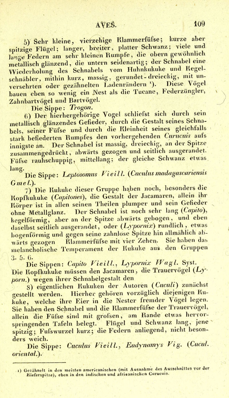 lo9 5) Sehr kleine, -viei-zeh^ge Klammerfüfse; kurze aber witzige Flügel; langer, breiter, platter Sehwanz; viele und lange Federn am sehr kleinen Rumpfe, die obern gewöhnlich metallisch glänzend, die untern seidenartig; der Schnabel eine Wiederholung des Schnabels vom Huhnhukuke und KegeU Schnäbler, mithin kurz, massig, gerundet-dreieckig, mit un- versehrten oder gezähnelten Ladenrändern ). Diese Vögel bauen eben so wenig ein JMest als die Tucane, Federzüngler, Zahnbartvögel und Bartvögel. Die Sippe: Trogon, ... , . 6) Der) hierhergehörige Vogel schliefst sich durch sein metallisch glänzendes Gefieder, durch die Gestalt seines Schna- bels, seiper Füfse und durch die Kleinheit seines gleichfalls stark befiederten Rumpfes den vorhergehenden Ciiriicuis aufs Innigste än. Der Schnabel ist massig, dreieckig, an der Spitze zusammengedrückt, abwärts gezogen und seitlich ausgerandet. Füfse rauhschuppig, mittellang; der gleiche Schwanz etwas_ lang. \ .o 7 7 • • Die Sippe: Leplosomus Vieill {Ciicnliis madagascariensis GvieL). 7) Die Kukuke dieser Gruppe hqben noch, besonders die Kopfkukuke {Capilones), die Gestalt der Jacaraaren, allein ihr Körper ist in allen seinen Theilen plumper und sein Gefieder ohne jVIetallglanz. Der Schnabel ist noch sehr lang (Capito), kegelförmig, aber an der Spitze abwärts gebogen, und eben daselbst seitlich ausgerandet, oder {Lypornix) rundlich, etwas boo^enförmig und gegen seine zahnlose Spitze hin allmählich ab- wärts gezogen Klammerfüfse mit vier Zehen. Sie haben das melancholische Temperament der Kukuke aus den Gruppen 3. ö. 6. Die Sippen: Ccipiio FieilL, Lyjjornix PVagl. Syst. Die Kopfkukuke müssen den Jacamaren, die Trauervögel (Ly porn.^ wegen ihrer Schnabelgestalt den 8) eigentlichen Kukuken der Autoren {Cuculi) zunächst gestellt werden. Hierher gehören vorzüglich diejenigen Ku- kuke, welche ihre Eier in die Nester fremder Vögel legen. Sie haben den Schnabel und die Klammerfüfse der Trauervögel, allein die Füfse sind mit grofsen, am Rande etwas heryor- springenden Tafeln belegt. Flügel und Schwanz lang, jene spitzig; Fufswurzel kurz; die Federn anliegend, nicht beson- ders weich. Die Sippe: Cuculus Vieill.^ Eudynamys Vig, {Luciil, oriental.'). i) Gezähnelt in den meisten arnericanlschen (mit Ausnahme des Ausschnittes vor der Kieferspitze), erben in den indischen und afrieanischen Curueuia.