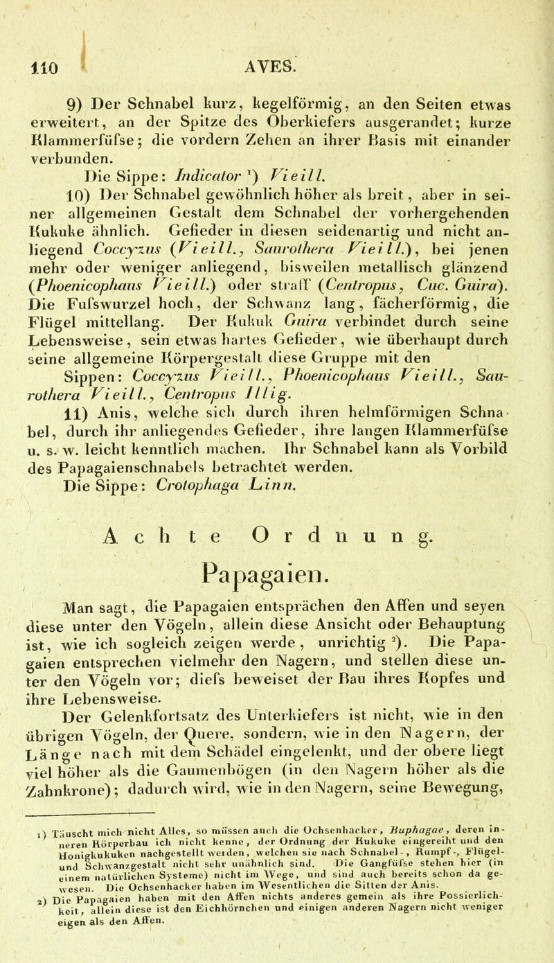 9) Der Schnabel kurz, kegelförmig, an den Seiten etwas erweitert, an der Spitze des Oberkiefers ausgerandet; kurze Klammerfüfse; die vordem Zehen an ihrer Basis mit einander verbunden. Die Sippe: Indicator^) Vieill. 10) Der Schnabel gewöhnlich höher als breit, aber in sei- ner allgemeinen Gestalt dem Schnabel der vorhergehenden Kukuke ähnlich. Gefieder in diesen seidenartig und nicht an- liegend Coccyzus {Vieill.j Saiirothera eil /.), bei jenen mehr oder weniger anliegend, bisweilen metallisch glänzend {Phoenicophciiis Vieill?) oder stratb (Cenlropiis^ Cuc, Guira). Die Fufswurzel hoch, der Schwanz lang, fächerförmig, die Flügel mittellang. Der Kukuk Guira verbindet durch seine Lebensweise, sein etwas hartes Gefieder, wie überhaupt durch seine allgemeine Körpergestalt diese Gruppe mit den Sippen: Coccy^ziis Vieill,, Phoenicophaiis Vieill..^ Sau- rot her a Vieill, y Centropus Jllig, 11) Anis, welche sich durch ihren helmförmigen Schna bei, durch ihr anliegendes Gefieder, ihre langen Klammerfüfse u. s. w. leicht kenntlich machen. Ihr Schnabel kann als Vorbild des Papagaienschnabels betrachtet werden. Die Sippe: Crolophaga L in n. Man sagt, die Papagaien entsprächen den Affen und seyen diese unter den Vögeln, allein diese Ansicht oder Behauptung ist, wie ich sogleich zeigen werde, unrichtig-). Die Papa- gaien entsprechen vielmehr den Nagern, und stellen diese un- ter den Vögeln vor; diefs beweiset der Rau ihres Kopfes und ihre Lebensweise. Der Gelenkfortsatz des Unterkiefers ist nicht, wie in den übrigen Vögeln, der Quere, sondern, wie in den Nagern, der Länge nach mit dem Schädel eingeienkt, und der obere liegt viel höher als die Gaumenbögen (in den Nagern höher als die Zahnkrone); dadurch wird, wie in den Nagern, seine Bewegung, o Täuscht mich nicht Alles, so müssen auch die Ochsenhacher, Buphagae, deren in- ^ neren Hörperbau ich nicht kenne, der Ordnung der Kukuke eingereiht und den Honl»kukukcn nachgestellt Avei den, welchen sie nach Schnabel-, Rumpf-, Flügel- und Schwanzgeslalt nicht selir unähnlich sind. Die Gangfüfse stehen hier (in einem natürlichen Systeme) nicht im Wege, und sind auch bereits schon da ge- wesen. Die Ochsenhacker haben im Wesentlichen die Sitten der Anis. %) Die Papagaien haben mit den Affen nichts anderes gemein als ihre Possierlich- ^ keit, allein diese ist den Eichhörnchen und einigen anderen Nagern nicht weniger eigen als den Affen. Achte Ordnung.