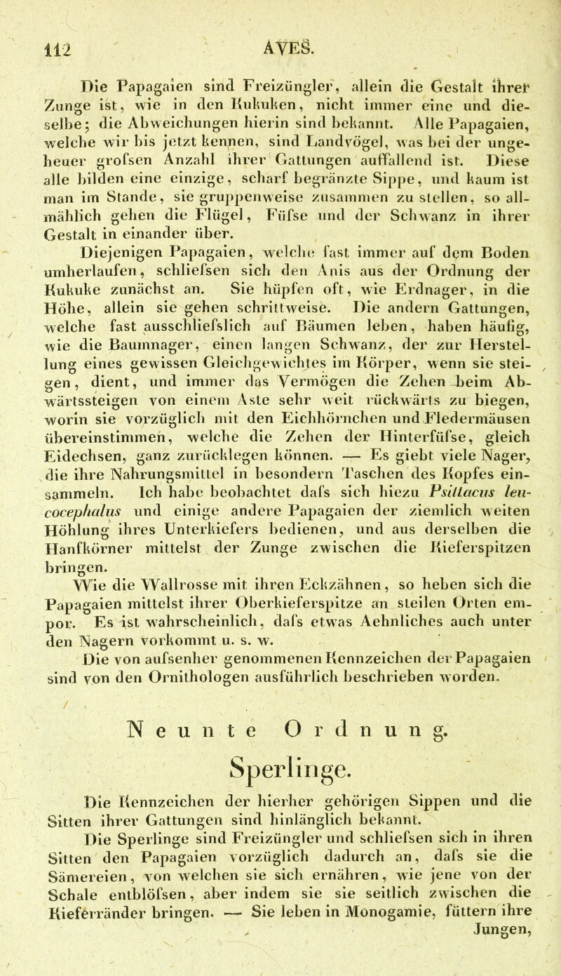Die Papagaien sind Freizüngler, allein die Gestalt ihrer Zunge ist, wie in den Kiikuhen, nicht immer eine und die- selbe; die Abweichungen hierin sind behannt. Alle Papagaien, welche wir bis jetzt kennen, sind Landvögel, was bei der unge- heuer grol'sen Anzahl ihrer Gattungen auffallend ist. Diese alle bilden eine einzige, scharf begränzte Sippe, und kaum ist man im Stande, siegruppenweise zusammen zu stellen, so all- mählich gehen die Flügel, Füfse nnd der Schwanz in ihrer Gestalt in einander über. Diejenigen Papagaien, welcln^ fast immer auf dem Boden umherlaufen, schliefsen sich den Anis aus der Ordnung der Kukuke zunächst an. Sie hüpfen oft, wie Erdnager, in die Höhe, allein sie gehen schrittweise. Die andern Gattungen, welche fast ausschliefslich auf Bäumen leben, haben häufig, wie die Baumnager, einen langen Schwanz, der zur Herstel- lung eines gewissen Gleichgewichtes im Körper, wenn sie stei- gen, dient, und immer das A^ermögen die Zehen-beim Ab- wärtssteigen von einem Aste sehr weit rückwärts zu biegen, worin sie vorzüglich mit den Eichhörnchen und Fledermäusen übereinstimmen, welche die Zehen der Hinterfüfse, gleich Eidechsen, ganz zurücklegen können. — Es giebt viele Nager, die ihre Nahrungsmittel in besondern Taschen des Kopfes ein- sammeln. Ich habe beobachtet dafs sich hiezu Psitlacus leii- cocephalus und einige andere Papagaien der ziemlich weiten Höhlung ihres Unterkiefers bedienen, und aus derselben die Hanfkörner mittelst der Zunge zwischen die Kieferspitzen bringen. Wie die Wallrosse mit ihren Eckzähnen, so heben sich die Papagaien mittelst ihrer Oberkieferspitze an steilen Orten em- por. Es ist wahrscheinlich, dafs etwas Aehnliches auch unter den Nagern vorkommt u. s. w. Die von aufsenher genommenen Kennzeichen der Papagaien sind von den Ornithologen ausführlich beschrieben worden. Neunte Ordnung. Sperlinge. Die Kennzeichen der hierher gehörigen Sippen und die Sitten ihrer Gattungen sind hinlänglich bekannt. Die Sperlinge sind Freizüngler und schliefsen sich in ihren Sitten den Papagaien vorzüglich dadurch an, dafs sie die Sämereien, von welchen sie sich ernähren, wie jene von der Schale entblöfsen, aber indem sie sie seitlich zwischen die Kieferränder bringen. — Sie leben in Monogamie, füttern ihre > Jungen,