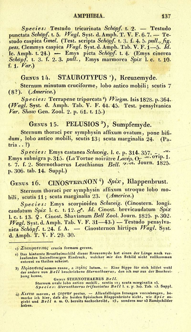 Species: Testudo tricarinata Schöpf, t. 2. — Testudo punctata Schöpf t. 5. Syst. d. Amph. T. V. F. 6- 7. — Te- studo easpica umel. (Test, scripta Schöpf t. 3. f. 4* b- pull., fig. pess. Clemmys caspica Wagl. Syst. d. Amph. Tab. V. F. 1—-5. Id. Ic. Amph. t. 24.) Emys picta Schöpf, t. 4. (Emys cinerea Schöpf, t. 3. f. 2.3. pull., Emys marmorea Spix 1. c. t. 10. f. 1. Far.) Genus 14. STAUROTYPüS *), Kreuzemyde. Sternum minutum cruciforme, lobo antico mobili; sculis 7 (8?). {^America.) Species: Terrapene triporcataIsis 1828. p.364. {TVagl. Syst. d. Amph. Tab. Y. F. 44. 45. Test, pensylvanica Far. Shaw Gen. Zool. 2. p. 61. t. 15.) Genus 15. PELÜSIOS^), Sumpfemyde. Sternum thoraci per symphysin afßxum ovatum, pone bifi- dum, lobo antico mobili;, scutis 13^ scuta marginalia 24. (Pa- tria . . ?) Species: Kvays castanea Schweig. 1. c. p. 314. 357. Emys subnigra p. 315. (La Tortue noiiatre L,acep. Oi’ 1* t. 7. f. 2. Sternothaerus Leachianus Bell. Journ. 1825. p. 306. tab. 14. Suppl.) Genus i6. ClNOS'TEniVON'*) Spix, Klappeiibrust. Sternum thoraci per symphysin afßxum utroque lobo mo- bil!^ scutis 11; scuta marginalia 23. {America.) Species: Emys scorpioidea Schweig. (Cinostern. longi- caudatum Spix 1. c. t. 12. yf. Id. Cinost. brevicaudatum Spix 1. c. t. 13. $. Cinost. Shavianum Bell Zool. Journ. 1825. p. 302. TVagl. Syst. d. Amph. Tab. Y. F. 31—43.) — Testudo pensylva- nica Sc/iö/?/. t. 24. f. A. — Cinosternon hirtipes TVagl. Syst, d. Amph. T. Y. F. 29. 30. i) ^TUVQOrvTlOg crucis formam gerens. z) Das hinterste Brustbeinschild dieser Kreuzemyde hat einen der Länge nach ver- laufenden linienförmigen Eindruck, Avelcher mir das Schild nicht vollkommen entzwei zu theilcn scheint. 3) nomen ranae, a 7lt]log lutum. — Eine Sippe für sich bildet wohl der andere von Bell beschriebene Sternothaerus, den ich nur aus der Beschrei- bun/? kenne. Gknus sternothaerus Bell. Sternum ovale lobo antico mobili, scutis iz; scuta marginalia z5. Species: Sternothaerus trifasciatus B e 11 \. c. -p. 3o5. Tab. i3. Suppl. 4) KlPSiü moveo, et qtQVOV pectus. — Allenfallsigen Irrungen vorzubeugen, be- merke ich hier, da^ die beiden Spixischen Blappenbrüste nicht, wie Spix an- giebt und Bell a. m. O. bereits nachschreibt, z5» sondern nur z3 Randschilder haben.
