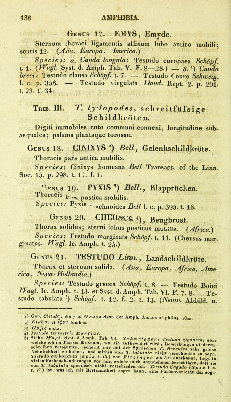 Genus 17. EMYS, Emyde. Sternum thoraci ligamentis affixum lobo anlico mobili; scutis 12. {yisia, Europa, America.) Species: a. Cauda longula: Testudo europaea Schöpf. t. 1. {PVagl. Syst. d. Amph. Tab. V. F. 8—28.) — ß. ) Caiida brevi: Testudo clausa Schöpf t. 7. — Testudo Couro Schweig. 1. c. p. 358. — Testudo virgulata Daud. Rept. 2. p. 201. t. 23. f. 34. Trib. III. T. tjrlopodes, schreitfüfsi ge Schildkröten, Digiti immobiles cute communi connexi^ longitudine sub- aequales; palama plantaque torosae. Genus 18. jCINIXYS Bell, Gelenkschildkröte. Thoracis pars antica mobilis. Species: Cinixys homeana Bell Transact. of the Linn. Soc. 15. p. 298. t. 17. f. 1. ^^='NUS IQ. PYXIS BelL^ Klapprücken. rhoracis j. postica mobilis. Species: Pyxis --.,chnoides Bell I. c. p. 395. t. 16- Gehüs20. CHERöu8 4)^ Be^gbrust. - Thorax solidus; sterni lobus posticus mobilis. {^frica.) Species: Testudo marginata Schöpf, t. 11. (Chersus mar- ginatus. vVagl. Ic. Amph. t. 25.) Genüs 21. TESTUDO Linn., Landschildkröte. Thorax et Sternum solida. {Asia, Europa, Africa, Arne- rica, Nova - Hollandia.) Species: Testudo graeca Schöpf.'t. 8. — Testudo Boiei Wagl. Ic. Amph. t. 13. et Syst. d. Amph. Tab. VI. F. 7. 8. — Te- studo tabulata ^) Schöpf t. 12. f. 2. t. 13. (^Neiiw. Abbild, u. i) Gen. Cistula, Say in Grays Syst, der Amph. Annals of philos. 1826. 3) Kirm, et i'^vg lumbus. 3) llv'^tg cisla. 4) Testudo terrestris Martini. 5) Siehe fragt. Sy^t. d. Amph. Tab. VI. Schweiggers Testudo gigantea, über welche ich im Pariser Museum, wo sic aufbewahrt wird, Bemcrhun|cn niederzu schreiben versäumte, scheint mir mit der Spixischen T. Hercules sehr grofsc Aehnlichkcit zu haben, und mithin von T. tabulata nicht verschieden zu sevn Testudo ctp^bonaria {Spiar t. 16.) von Fitzinger als Art anerkannt, liegt in vielen farbenabanderungen vor mir, welche mich anzunehmen berechtigen, dafs sic von T. tabulata specifisch nicht verschieden ist. Testudo Cagado {Saix \. c t, i7.) JSt, was ich mit Bestimmtheit sagen kann, eine Farbenvarietät der söge-