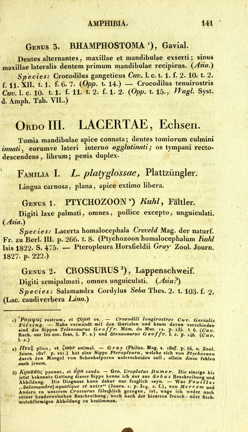 Genus 3. RHAMPHOSTOMA Gavial Pentes alternantes, maxillae et mandibulae exserti; sinus maxillae lateralis dentem primum mandibulae recipiens. {Asia.) Species: Crocodilus gangeticus Ciw, 1. c. t. 1. f. 2. 10. t. 2. f. 11. XII., t. 1. f. 6. 7. (Ppp. t. 14.) — Crocodilus tenuirostris Cuv. 1. c. 10. 1.1. f. 11. t. 2. f. 1. 2. (Opp. t. 15., FPagl. Syst, d. Amph. Tab. VII..) Ordo III. LAGERTAE, Echsen. Tomia mandibulae apice connata; dentes tomiorum culmini innati, eorumve lateri interne agglutinati; os tympani recto- descendens, librum; penis duplex. ’ Familia I. L. platjglossae, Plattzüngler. Lingua carnosa, plana, apice extimo libera. Genus 1. PTYCHOZOON 0 Kühl, Fältler. Digiti laxe palmati, omnes, pollice excepto^ unguiculati. {Asia.) Species: Lacerta homalocephala Creveld Mag. der natiirf. Fr. zu Berl. III. p. 266. t. 8. (Ptychozoon homalocephalum Ruhl Isis 1822. S. 475. — Pteropleura Horsfieldii Gray Zool. Journ. 1827. p. 222.) Genus 2. CROSSÜRÜS^), Lappenschweif. Digiti semipalmati, omnes unguiculati. (Asia?) Species: Salamandra Cordylus Seba Thes. 2. t. 103. f. 2* (Lac. caudiverbera Ltinn.) i) TOStrum, ct os. — Crocodili longirostres Cuv. Gavialis Fit zin g. — Nahe verwandt mit den Gavialen und kaum davon verschieden sind die Sippen Teleosaurus Geoffr. Mdm. du Mus, la. p. i35. t. 6, {Cuv. Rech, sur les oss. foss. 5. P. a-) «nd Stenosaurus Geoffr. 1. c. p. i46. {Cuv, 1. c.) a) IItV% plica, et ^OiOV animal. — Gray (Philos. Mag. a, i8a7. p, 56. u. Zool. Journ. i8«7. P- a«»-) hat eine Sippe Pteropleura, welche sich von Ptychozoon durch den Mangel von Schenkelporen unterscheiden soll, allein diese fehlen auch jenem. 3) KQOÜßOq pannus, et HQU cauda. — Gen. Uroplatus Dumer. Die einzige bis jetzt bekannte Gattung dieser Sippe kenne ich nur aus Sebas Beschreibung und Abbildung. Die Diagnose kann daher nur fraglich seyn. — Was Feuilles ,,Salamandre] aquatique et noire** (Journ. i. p. 819. c. f.), von Merrem und Andern zu unserem Crossurus fälsc|ilich gezogen, ist, wage ich weder nach seiner kauderwelschen Beschreibung, noch nach der bizarren frösch- oder fisch- molchförmigen Abbildung zu bestimmen.