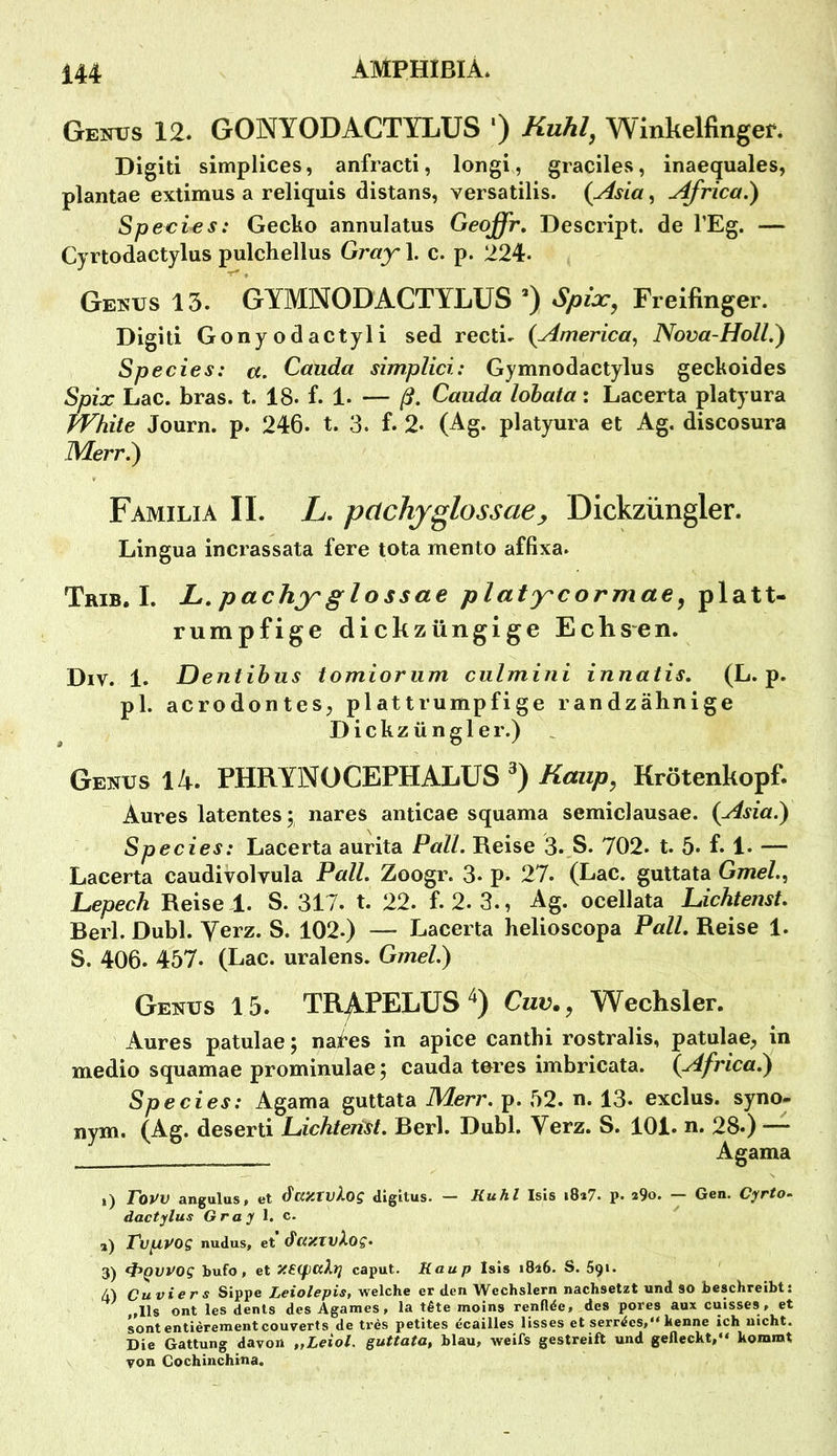 Genus 12. GONYODACTYLUS *) Kuhl^ Winkelfinger. Digiti simplices, anfracti, longi, graciles, inaequales, plantae extimus a reliquis distans, versatilis. (Asia, Africa^ Speeles: Gecko annulatus Geqffr, Descript. de TEg. — Cyrtodactylus pulchellus Gray 1. c. p. 224- Genus 15. GYMNODACTYLUS ’) Spla:, Freifinger. Digiti Gonyodactyli sed recti. {America, Nova-Holl.) Species: a. Cauda simplici: Gymnodactylus geckoides Spix Lac. bras. t. 18. f. 1- — ß. Cauda lohata: Lacerta platyura White Journ. p. 246. t. 3. f. 2- (Ag. platyura et Ag. discosura IMerr.) Familia II. L, pclchjglossaej Dickzüngler. Lingua incrassata fere tota mento affixa. Trib. I. L.pachy'g^ossae platycormae^ platt- rumpfige dickzüngige Echsen. Div. 1. Dentihus tomioriim culmini innatis. (L. p. pl. acrodontes, plattrumpfige randzähnige Dickzüngler.) . Genus 14. PHRYLVOCEPHALÜS ^ Krötenkopf. Aures latentes 5 nares anticae squama semiclausae. {Asia.) Species: Lacerta aurita Pall. Reise 3. S. 702. t. 5* L !• — Lacerta caudivolvula Pall. Zoogr. 3- p. 27. (Lac. guttata Gmel., Lepech Reise 1. S. 317. t. 22. f. 2. 3., Ag. ocellata LichtensL Berl. Dubl. Yerz. S. 102.) — Lacerta helioscopa Pall. Reise 1. S. 406. 457. (Lac. uralens. Ginel.) Genus 15. TR^PELUS Cuv.^ Wechsler. Aures patulae; nai*es in apice canthi rostralis, patulae;, in medio squamae prominulae; cauda teres imbricata. (Africa.) Species: Agama guttata Merr. p. 52. n. 13. exclus. syno- nym. (Ag. deserti Ldchtertst. Berl. Dubl. Yerz. S. 101. n. 28.) — Agama 1) Fovv angulus, et dazivlog digitus. — Kühl Isis i8a7. p. a9o. — Gen. Cyrto. dactylus Grayl.c. ' a) iTvpVOS nudus, et SaxXvXog. 3) ’t^QWog bufo > et XECfuXt] caput. Kaup Isis 1816. S. 691. 4) Cu vier s Sippe Leiolepis, welche er den Wechslern nachsetzt und so beschreibt: ,11s ont les dents des Agames, la tßte moins renflde, des pores aux cuisses, et sontentierement Couverts de tres petites ecailles lisses et ser^<^es,“ kenne ich nicht. Die Gattung davon „Leiol. guttata, blau, weifs gestreift und gefleckt,“ kommt von Cochinchina.