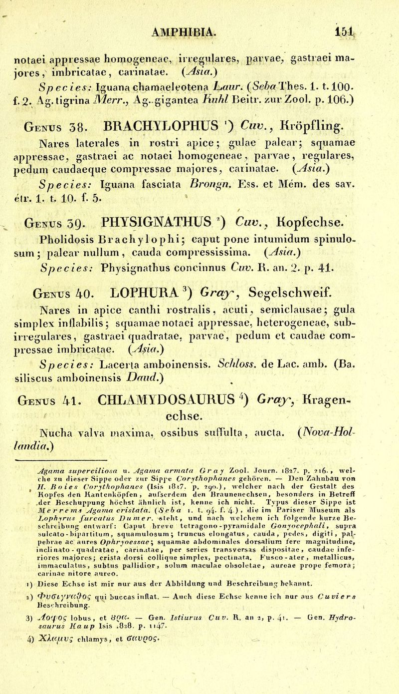 AMPHIBIA. 15 t notaei appressae homogeneae, irreguläres, parvae, gastraei ma- jores , imbricatae , carinatae. Speeles: Iguana chamaeleotena 1-jaiir. (Se&flr Thes. i. t. lOO- f. 2. Ag. tigrina IXlerr., Ag..gigantea Huhl Beitr. zur Zool. p. 106.) Genus 38. BRACHYLOPHÜS ') Ciw., Kröpfling. Nares laterales in rostri apice; guJae palear; squamae appressae, gastraei ac notaei liomogeneae, parvae, reguläres, pedum caudaeque compressae majores, carinatae. (^sla.) Speeles: Iguana fasciata Brongn. Ess. et Mem. des sav. etr. 1. t. 10. f. 5. ' Genus 39. PHYSIGNATHÜS ) Cuv., Kopfechse. Pholidosis Brachy 1 oplii; eaput pone intuinidum spinulo- sum ; palear nullum , cauda cornpressissiina. {ylsla.) Speeles: Physignatbus concinnus Cuv. B. an. 2. p. 41. Genus 40. LOPHURA Gray ^ Segelschweif. Nares in apice canthi rostralis, acuti, seiniclausae; gula sirnplex inllabilis; squamae notaei appressae, heterogeneae, sub- irregulares, gasti^iei quadratae, parvae, pedum et caudae com- pressae imbricatae. {.Asla.) Speeles: Lacerla amboinensis. Sc///oi‘V. de Lac. amb. (Ba. silisciis amboinensis Dmid.) Genus 4i. CHLAMYDOSAURUS '*) Grax, Kragen- echse. Nucha valva maxima, ossibus sufhilta, aucta. (Nova-Hol- landla,) A^ama superciliosn u. A^atna armnta Gray Zool. .Tourn. iBa?. p. ?i6.» wel- che 7,n dieser Sippe oder zur Sipj'e Corythophanes gehören. — Den Zahnbau von H. Boies Corythophanes (Isi.s i8i7. p. 2yo.), welcher nach der Gestalt des Kopfes den Kantenköpfen , aufserdem den Kraunenechsen, besonders in Betreff .der Beschupjiung höchst ähnlicli ist, kenne ich nicht. Tyjtus dieser Sippe ist Me rr eins y/gama cristata. {Seha i. t. t. 4)> if Pariser IVluseum als Lophyrns furcatus Diimer. «lelit, und nach welchem ich folgende kurze Be- schreibung entwarf: Caput breve tetragono-pyramidale Gonyocephali, supra sulcato - bipaitilum, squamulosum; Iruncus elongatus, cauda, pedes, digiti , pal- pebrae ac aures Ophryoessae% squamae abdominales dorsaliuni fere 7nagnitudine, inclinato - quadratae , carinatae, per series transversas dispositac , caudae infe- riores majores; crista dorsi collique sirnplex, pectinata. Fusco-ater, metallicus, immaculalus, subtus pallidior, solum maculae obsoletae, aureae prope femora; carinae nitore aureo. 1) Diese Echse ist mir nur aus der Abbildung und Beschreibung bekannt. tyPttOog qui buccas inflat. — Auch diese Echse kenne ich nur aus Cuvi e r s Beschreibung. I 3) ^'to'^Og lobus , et — Gen. Istiuriis Cuv. R. an i, p. 4i. — Gen. Hydro- saurus Kaup Isis i8i8, p. ii47< 4) chlamys, et dtiVQOg» =2.