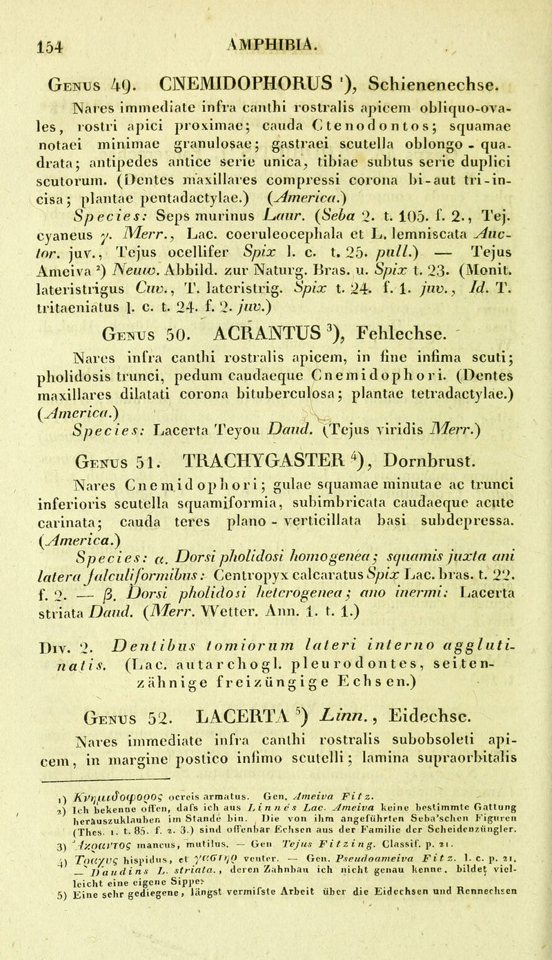Genus 4Q. CNEMIDOPHORUS ')^ Schienenechse. Nares immediate infra canthi rostralis apicem obliquo-ova- les, roslri apici proxiiiiae; caiida Ctenodontos; squamae notaei minimae granulosae; gastraei scutelJa oblongo - qua- drata; antipedes anlice serie unica^ tibiae subtus serie duplici scutorum. (Dentes maxillaies compressi coroiia bi-aut tri-in- cisa; plantae pentadactylae.) {America.) Species: Seps murinus haur. {Seba 2. t. 105. h 2-, Tej. cyaueus y. HAerr.^ Lac. coeruleocephala et L. lemniscata Aiic- lor. juv., Tejus ocellifer Spix 1. c. t. 25* pnlL) — Tejus Ameiva Neuiv. Abbild, zur Naturg. Bras. u. Spix t. 23* (Monit. lateristrigus Ciiv., T. lateristrig. Spix t. 24. hl- Juv., Id. T. tritaeniatus 1. c. t. 24. f. 2. Juv.) Genus 50. ACRANTUSFehlechse. ' Nares infra cantbi rostralis apicem, in fine infima scuti; pholidosis trunci, pedum caudaeque Cnemidophori. (Dentes maxillares dilatati corona bituberculosa; plantae tetradactylae.) {America.) _ . Species: Lacerta Teyou Daud. (Tejus yiridis JMerr.) Genus 51. TRACHYGASTER, Dornbrust. Nares C n e m i d o p li o r i; gulae squamae minutae ac trunci inferioris scutella squamiformia, subimbricata caudaeque acute carinata; cauda teres plano - verticillata basi subdepressa. {America.) Species: a. Dorsi pholidosi homogenea^ sqiiamis Juxta ani latera jalculiformibus: Centropyx calcaratusS/?/x Lac. bras. t. 22. f, 2. — ß. Dorsi pholidosi heterogenea^ ano inei'ini: Lacerta striata Daud. {Merr. Wetter. Ann. 1. t. 1.) Div. 2. Dentibiis iomiorum lateri interno agglatL natis. (Lac. autarcliogl. pleu ro d ont es, sei ten- zälinige freizüngige Echsen.) Genus 52. LACERTA Linn., Eidechse. Nares immediate infra canthi rostralis subobsoleti api- cem , in margine postico infimo scutelli; lamina supraorbitalis 1) KrrjjUCtyoipOOOg ocrels armatus. Gen. Ameiva Fitz. 2) Ich bekenne offen, dafs ich ans Linn cs Lac. Ameiva keine besllmmte Gattung herauszuklauben im Stande bin. Die von iJim angeführten Seba’scben Figtircn (Thes. i. t. 85. f. 1. 3.) sind offenbar Ecliscn aus der Familie der Scheidenzüngler. 3^ \4y.O(ilA0g mancus, mutüus. — Gen Tejus F i t z i n g. Classif. p. 21. 4) TViG/F? hispiiins, ct yC'.GrrjO venter. — Gen. PseufJoameiva Fitz. l.c. p. 21. ^ jPaudins L. striata., deren Zahnbau ich nicht genau kenne, bildet viel- leicht eine eigene Sippe> ..... . 5) Eine sehr gediegene, längst verimfste Arbeit über die Eidechsen und Kcnnechsen