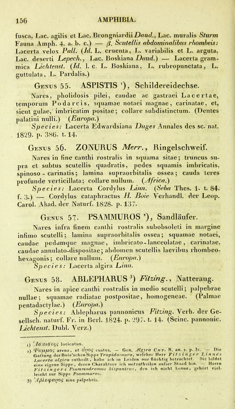 fusca;, Lac. agilis et Lac. BrongniarcUiZ)««<i., Lac. muralis Sturm Fauna Amph. 4. a. b. c.) — ß. SciiteUis abdominalibiis rhombeis: Lacerta velox Pall. {Id. L. cruenta, L. variabilis et L. arguta, Lac. desertl Pepech., Lac. Boskiana Daud.) — Lacerta gram- mica Ltichtenst. {Id. 1. c. L. Boskiana, L. rubropunctata, L. guttulata, L. Pardalis.) Genus 55. ASPISTIS Schüdereidechse. Nares, phoiidosis pilei, caudae ac gastraei Lacertae, temporuin Podarcis, squamae notaei magnae, carinatae, et, sicut gulae,Ambricatim positae; collare subdistinctum. (Deutes palatini nulli.) {Europa.) Species: Lacerta Edwardsiana IDuges Annales des sc. nat. , 1829. p. 386. 1.14. Genus 56. ZONURüS Merr,, Ringel schweif. Nares in fine canthi rostralis in squama sitae; truncus su- pra et subtus scutellis quadratis, pedes squamis imbricatis, spinoso - carinatis; lamina supraorbitalis ossea; cauda teres profunde verticillata; collare nullmn. {Africa.) Species: Lacerta Cordylus 1-jinn. {Seba Thes. 1. t. 84. f. 3.) — Cordylus catapbractus H. Boie Verbandl. der Leop. Carol. Akad. der Naturf. 1828. p. 137. Genus 57. PSAMMÜROS *), Sandläufer. Nares infra finem canthi rostralis subobsoleti in margine infinio scutelli; lamina supraorbitalis ossea; squamae notaei, caudae pedumque magnae, imbricato-lanceolatae, carinatae, caudae annulato-dispositae; abdomen scutellis laevibus rhombeo- hexagonis; collare nullum. {Europa.) Species: Laeerta algira Einn. Genus 58. ABLEPHARUS Filzing..^ Natteraug. Nares in apice canthi rostralis in medio scutelH; palpebrae nullae; squamae radiatae postpositae, homogeneae. (Palmae pentadactylae.) {Europa.) Species: Ablepharus paniionieus Fiizing. Yerh. dev Ge- sellsch. naturf. Fr. in Berl. 1824. p. 297. t. 14. (Seine, pannonic. Eichtenst. Dubl. Yerz.) 1) \iG7tLGO]q loricatus. a) ‘^Pcc/illLlOg arena, ct UOOg cuslos. — Gen. Al^p'a Cuv. R. an. 2. p. 3i. — Die Galiung clor Roie’schen Sippe I’ro/jirfoi'ßz/rfl, wclchcx' Herr Fitzin ger Linnes l,acerta algira ziithcilt, habe ich in Leiden nur fliiclitig betrachtet. Sie Ijildet eine eigene Sippe , deren Charaktere icli mitzutheilen aufser Staad bin. — Herrn Fitzingers Psarnmodrornus hispanicus, den ich nicht Jicnue, gehört viel- leicht zur Sippe Psanimuros. 3) \4ßkS(fCi()0g sine palpebris,