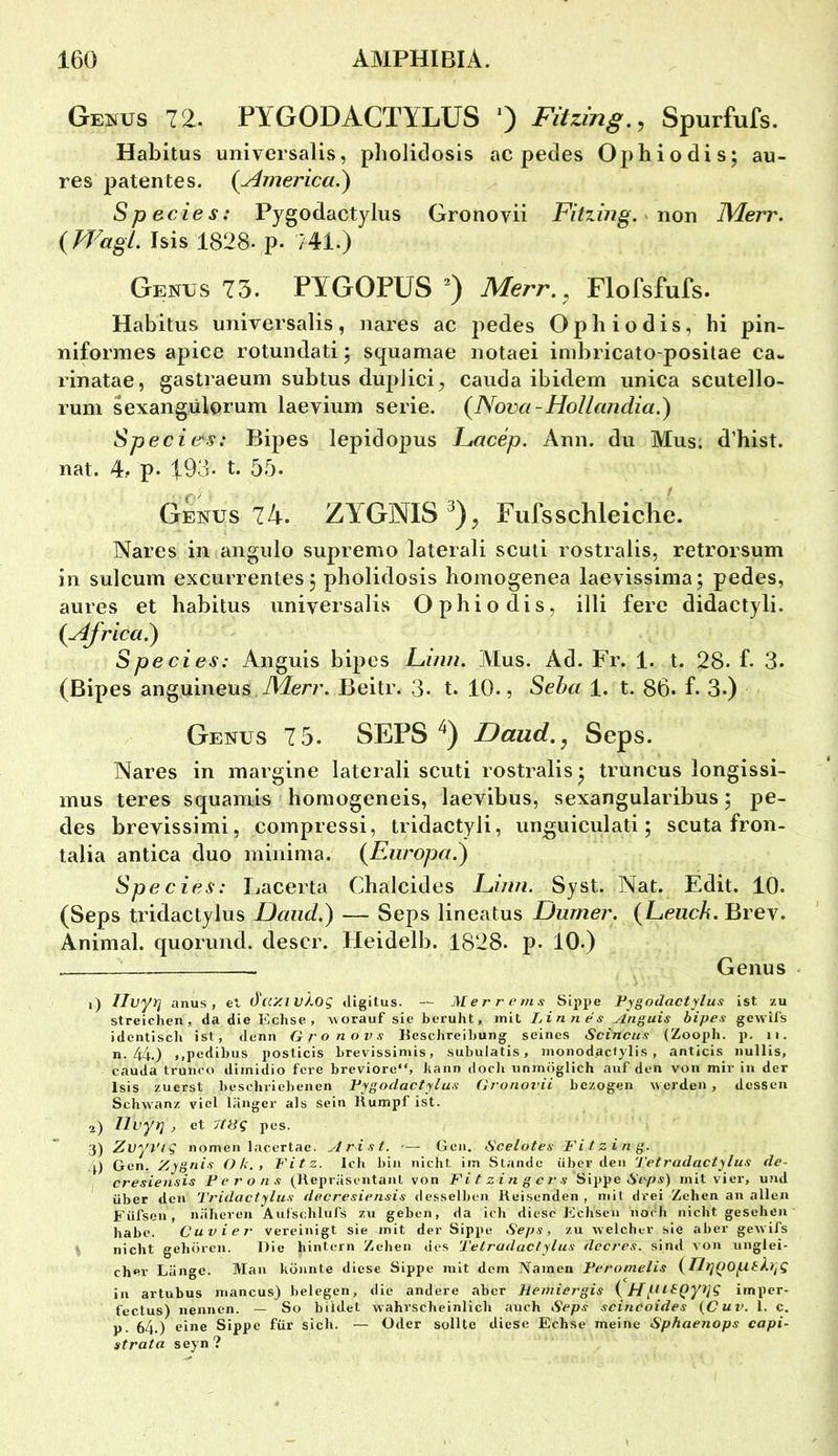 Ge^us 72. PYGODACTYLUS 0 Fitzing., Spurfufs. Habitus universalis, pholidosls ac pedes Ophiodis; au- res patentes. {^America.) Species: Pygodactylus Gronovii Fitzing. non JVIerr. {Wagt. Isis 1828. p. 741.) Genus 75. PYGOPÜS ^ Merr.^ Flofsfufs. Habitus universalis, nares ac pedes Opbiodis, hi pin- niformes aj)ice rotundati; squamae notaei ind)ricato-positae ca- rinatae, gastraeum subtus dupJici, cauda ibidem unica scutello- rum sexangulorum laevium Serie. {Nova-Hollandia.) Speci&s: Bipes lepidopus Facep. Ann. du Mus. d’hist. nat. 4.. p. 193. t. 55- g£nus 74. ZYGNIS^), Fufs schleiche. Nares in angiilo supremo laterali scuti rostralis, retrorsum in sulcum excurrentes 5 pholidosis bomogenea laevissima; pedes, aures et habitus universalis Ophiodis, illi fere didactyli. {Africa.) Species: Anguis bipes Finn. Mus. Ad. Fr. 1. t. 28. f. 3. (Bipes anguineus Beitr. 3. t. 10., Seha 1. t. 86. f. 3.) Genus 7 5. SEPS Daud.^ Seps. Nares in inargine laterali scuti rostralis ^ truncus longissi- mus teres squamis homogeneis, laevibus, sexangularibus 5 pe- des brevissimi, compressi, tridactyli, unguiculati; scuta fron- talia antica duo minima. {Europa.) Species: Ijacerta Cbalcides Einn. Syst. Nat. Edit. 10. (Seps tridactylus Daiid.) — Seps lineatus Dumer. {Leuch. Brev. Animal, quorund. clescr. Heidelb. 1828. p. 10.) , Genus 1) Ilvyyj anus, ct, d'ay.iv/.og digitus. — Mer re ms Sippe Pygodactylus ist zu streichen, da die Echse, worauf sie beruht, mit Linnes Anguis bipes gewifs identisch ist, denn Gronovs Keschreihung seines Scincus (Zooph. p. ii. n. 44.) j.pedihus posticis hrevissimis, subulatis, monodaclylis , anticis nullis, cauda trunco diinidio fere brevioro“, bann docli unmöglich auf den von mir in der Isis zuerst heschriehenen Pygodactylus Gronovii bezogen w erden, dessen Schwanz viel länger als Sein Rumpf ist. 2) Ilvyi], et 7teg pes. 3) ZvyVig nomen laccrtae. Arist. — Gen. 6'celotes Fitzijig. 4) Gen, Zygnis Oh., Fitz. Ich hin nicht im Stande über den Tetradactylus de- cresiensis Perons (Repräsentant von Fitzingers Sippe mit vier, und über den Tridactylus decresiensis desselben Reisenden, niil drei Zehen an allen Füfsen, näheren Aufschlufs zu geben, da ich diese Echsen noch nicht gesehen habe. Cuvier vereinigt sie mit der Sippe >Seps, zu welcher sie aber gewifs nicht gehören. Die hintern Zehen des Tetradactylus decres. sind von unglei- cher Länge. Man könnte diese Sippe mit dem Namen Peromelis tTlriQOptkr^g in artübus mancus) belegen, die andere aber Heiniergis i imper- fectus) nennen. — So bildet wahrscheinlich auch Seps scincoides {Cuv. 1. c. p. 64.) eine Sippe für sich. — Oder sollte diese Echse meine Sphaenops capi- st rata seyn?