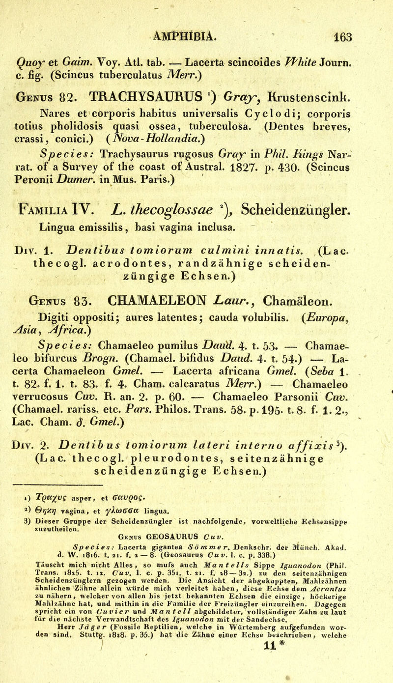 Quoy et Gaim. Voy. Atl. tab. -— Lacerta scincoides FPhite iouTn, c. iig. (Scincus tuberculatus IMerr.) Genus 82. TRACHYSAURUS ') Gray^ Krustenscinb. Nares et corporis habitus universalis Cyclo di; corporis totius pbolidosis quasi ossea, tuberculosa. (Dentes breres, crassi, conici.) ( Nova - HoUandia.) Species: Trachysaurus rugosus Gray in Phil. Rings Nar- rat. of a Survey of ihe coast of Austral. 1827. p. 430. (Scincus Peronii Dumer. in Mus. Paris.) Familia IV. L, thecoglossae Scheidenzüngler, Lingua emissilis, basi vagina inclusa. Div. 1. Dentihus tomiorum culmini innatis. (Lac. thecogl. acrodontes, randzähnige scheiden- züngige Echsen.) Genus 83. CHAMAELEON Laur.^ Chamäleon. Digiti oppositi; aures latentes; cauda volubilis. {Europa, Asia, Africa.) Species: Chamaeleo pumilus 4. t. 53. — Chamae- leo bifurcus Brogn. (Chamael. bifidus Daud. 4. t. 54.) — La- certa Chamaeleon Gmel. — Lacerta africana Gmel. {Seha 1. t. 82. f. 1. t. 83. f. 4. Cham, calcaratus Merr.) — Charaaeleo verrucosus Cuv. R. an. 2. p. 60. — Chamaeleo Parsonii Cuv. (Chamael. rariss. etc. Pars. Philos. Trans. 58. p. 195* t. 8* f* 1. 2*? Lac. Cham. d. Gmel.) Div. 2. D eUtibus tomiorum lateri interno affixis^). (Lac. thecogl. pleurodontes, seitenzähnige scheidenzüngige Echsen.) I) T()Kyvg asper, ct (jCWQOg. &r\y.ri vagina, et Ilngua. 3) Dieser Gruppe der Schcldenzüngler Ist nachfolgende, vorweltliche Echsensippe zuzutheilen. Genvs GEOSAURUS Cuv. Species: Lacerta gigantea «Sö wi/n e r. Denkschr. der Münch. Akad, d. W. i8i6. t. 21. f. 2 — 8. (Geosaurns Cuv. 1. c. p. 338.) Täuscht mich nicht Alles, so mufs auch Mant eil s Sippe Iguanodon (Phil. Trans. iBzö. t. 12. Cuv. 1. c. p. 35i, t. 21. f. 18 — 3z.) zu den seitenzähnigen Scheidenzünglcrn gezogen werden. Die Ansicht der abgekuppten, Mahlzähnen ähnlichen 'Zähne allein würde mich verleitet haben, diese Echse dem Acrantus zu nähern, welcher von allen bis jetzt bekannten Echsen die einzige , höckerige Mahlzähne hat, und mithin in die Familie der Freizüngler einzureihen. Dagegen spricht ein von Cuvier und Mant eil abgebildeter, vollständiger Zahn zu laut für die nächste Verwandtschaft des Iguanodon mit der Sandechse. Herr .Jäger (Fossile Reptilien, welche in Würtemberg aufgefunden wor- den sind. Stuttg. 1828. p. 35.) hat die Zähne einer Echse beschrieben, welche / 11^