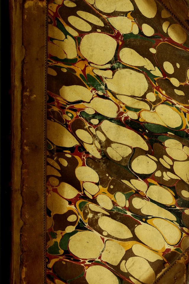 No text description is available for this image