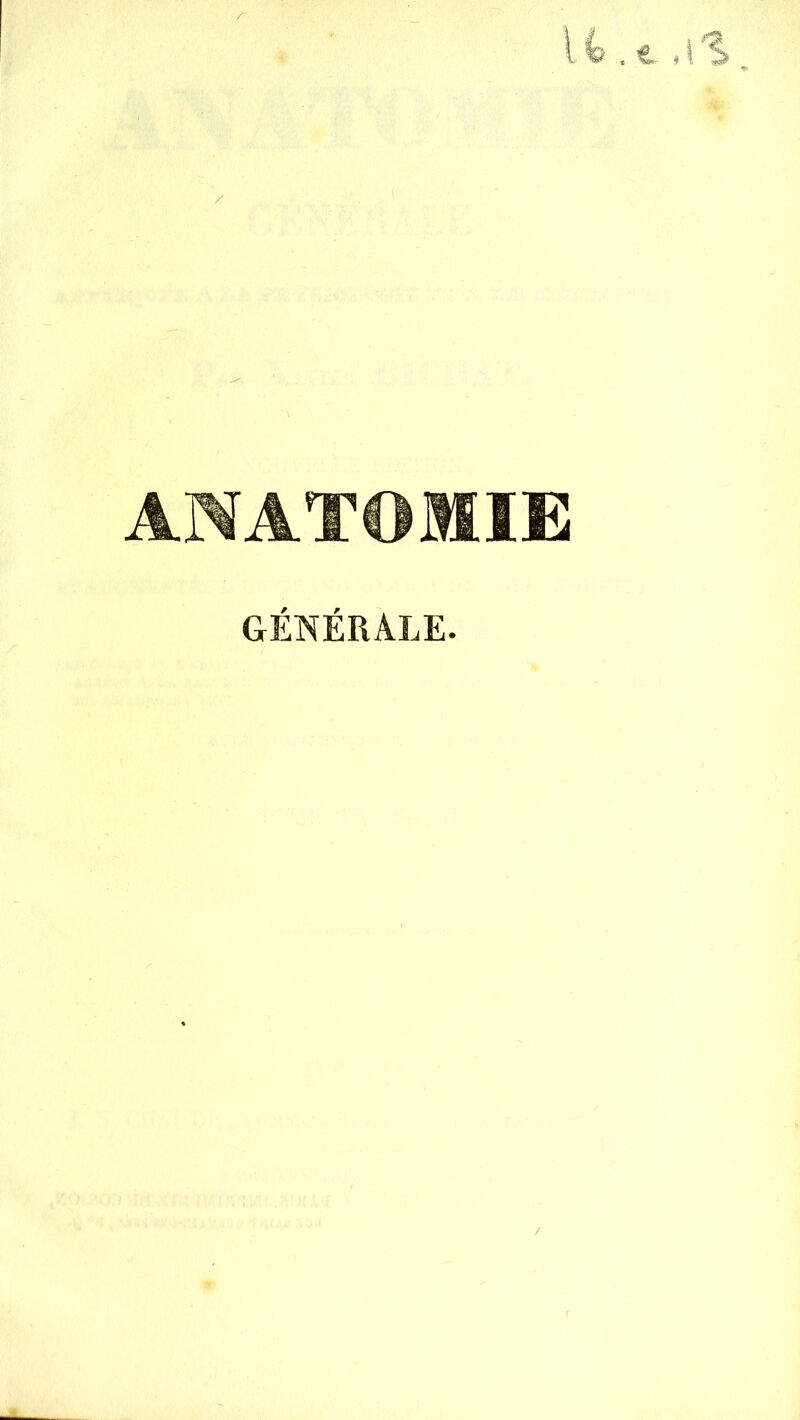 ANATOMIE GÉNÉRALE.