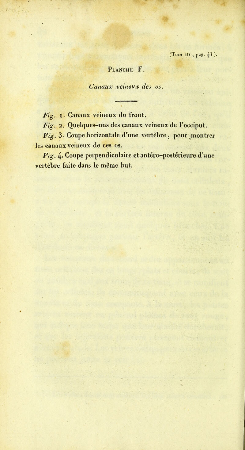 (Tora. m , |>ag. /j3 ). Planche F. Canaux veineux des os. Fig. i. Canaux veineux du front. Fig. 2. Quelques-uns des canaux veineux de l’occipul. Fig. 3. Coupe horizontale d’une vertèbre ? pour montrer les canaux veineux de ces os. Fig. 4* Coupe perpendiculaire et antéro-postérieure d’une vertèbre faite dans le meme but.