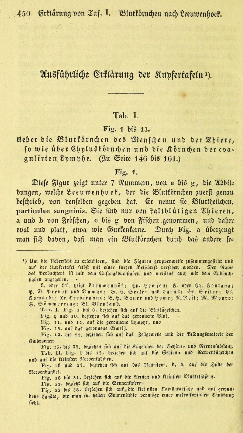 , : f» 2fu8füf)tft#e erflätuttg ber Äupfertafelnx). Tab. I. Fig. 1 &l§ 13. Heber bte S5(utforncfyen be3 9Äenf$en unb berr ^^fcre, fo wie über ornd&en unb bie Äorncfyen ber coa* guUrten g^mpfye. (3u ©eite 146 &t$ 161.) Fig. 1. SDtefe gtgur geigt unter 7 Hummern, Don a bis g, bie 2£bbits bungen, welche ßeeuwenfyo ef, ber bie S3lutfornd)en guerjt genau befcbrieb, Don benfelben gegeben fyat. @r nennt ftc ^Bluttbeildjen, particulae sanguinis, ©ie ftnb nur Don FattMütigen Sfyteren, a unb b Don großen, c bis g Don giften .genommen, unb bal)er oDal unb platt, etwa wie ©urFenFerne. £)urd) Fig. a überzeugt man fiti) baDon, ba£ man ein SBlutFormfyett burd) ba§ anbere fe* *) Um bie Uebcrftcbt ju erfetcDterrt, ftnb bie Figuren gruppenroetfe sufammengeftetlt unb auf ber £upfertafet fclOfl mit einer furjen 58eifcbrift oerfcben roorben. ©er Stfame beß 5J3eobacbterß tfl mit bem Stnfangßbucbftabett uttb meiftenß ancf> mit bem (snbbucb* ftaben angegeben. £. ober fi’f. fjeijtt SeeuwcnbÖf; Jprt. Jperofon; ober $a. Montana; <p. ©. ^reooft unb ©umaß; ©. (5. ©etter unb Oiaruß; ©r. ©eiter; @ß. gbwctrbß; £r.£reoiranuß ,* 5B.Jp. 58auer unbJpome; Sft.^eit; 2£. 3ttonro; @. © ö mm erring; 581. 5Bteutanb. Tab. I. Fig. i biß 8. belieben ftcf> auf bie 58futfügetcben. Fig. 9 unb io. besiefjen ftcb auf baß geronnene 58lut. Fig. n. unb 12. auf bie geronnene SpmpbO/ nnb Fig. 13. auf baß geronnene @iwei0. Fig. 14. biß 22. bejieben ftctj auf baß SettQcroebe unb bie 58itbungßmaterie bet (?mbr«onen. Fig. 23. biß 3 5. OejieDen ftcb auf bie ^iigeteben ber @ebirn* unb Sßeröenfubftans. Tab. II. Fig. l biß i5. bejieben ftcb auf bie ($ebirn* unb 37ert>enfügetcben unb auf bie fteinften Sleroenfäbcbeu. Fig. 16 unb 17. beheben ftcb auf baß Neuntem, b. t). auf bie glitte ber 9(lert>enbünbef. Fig. 18 biß 31. beaiebert ftcb auf bie {feinen unb fteinften ätfußfetfafern. Fig. 3 2. besieht ftcb auf bie ©ebnenfafern. Fig. 3 3 biß 38. bejieben ftcb auf. bie ffet rtflcn ^apiltargefäße unb auf geroun* bene Banate, bie man im beben ©onnentiebte rermöge einer mtfroffopifeben £äufcbung ftebt.