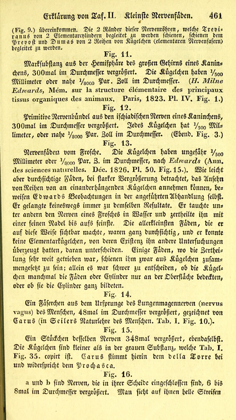 (Fig. 9.) übereittfommett. 3)ie 2 ^«ttber tiefer SRemnröbrett, tt>erd>e &mis ranuö rott 2 (Slemetttarctgtnbern begleitet zu werben fdjienett, fd)ienen bem repoft unb ®ntnd von 2 Otei^en von Kügelchen (elementaren Olemnfafern) begleitet zu werben. Fig. 11. Marffubjfanz au$ ber #emifpbure beS großen dtebirnS etne6 Kanins d)en6, 300mat im Ourcbmeffer vergrößert. £>ie Kügelchen buben y300 Millimeter ober nal)e Vsooo Soll im ^urebmeffer. (FI. Milne Edwards, Mem. sur la structure elementaire ctes principaux tissus organiques cles animaux. Paris, 1823. PL IV. Fig. 1.) Fig. 12. ^rtmitive-ftervenbunbel au3 ben ifcbiabifcbenSfterven eines itanincbenS, 300mal im £)urcbmejfer vergrößert. SebeS Kügelchen f)at y300 Mik limeter, ober nabe y800o Soll im £>urcbmejfer. (ßbenb. Fig. 3.) Fig. 13. 9tervenfabett vom grofebe. Oie Kügelchen bu^n ungefähr y300 Millimeter ober y800o $ur. 3. im Ourcbmeffer, nach Edwards (Ann. des Sciences naturelles. Dec. 1826. PL 50. Fig. 15.). 2Bie leidbt aber burebftebtige graben, bet ftarfer Vergrößerung betrachtet, baS 2lnfebn von Reiben von an einanberbangenben Kügelchen annebmen fonnen, bes weifen GrbwarbS Beobachtungen in ber angefübrten2lbbanblung felbjf. ($:r gelangte feineSwegS immer zu bemfelben S^efultate. @r taudbte un* ter anbern ben Heroen eines grofcbeS in SBaffer unb jertbeilte ihn mit einer feinen Üftabel bis aufs feinfle. Oie allerfleinften gaben, bie er auf biefe SSetfe fiebtbar machte, waren ganz burebfiebtig, unb er lonnte feine (£lementarfugelcben, von beren G?rijtcnz ibn anbere Unterfudbungen überzeugt bitten, baran unterfebeiben. Einige gaben, wo bie Sertbei? lung febr wett getrieben war, febienen ibm jwar au$ Kügelchen jufam? mengefeht gu fein; allein eS war febwer zu entfebeiben, ob bie Bügels dben manchmal bie gaben ober Gplinber nur an ber Oberfläche bebetften, ober ob fte bie (Splinber ganz bilbeten. Fig. 14. (Sin gafereben au§ bem ttrfprunge beS ßungenmagennerven (nervus vagus) beSMenfcben, 48mal im Ourcbmeffer vergrößert, gezeichnet von @aru3 (in @etlerS üftaturlebre beS Menfcben. Tab. I. Fig. 10.). Fig. 15. Crin (Studcben beffelben Nerven 348mal vergrößert, ebenbafetbjt. Oie Kügelchen finb fleiner als in ber grauen (Subjlanz, weldbe Tab. I. Fig. 35. copirt ijl. GaruS jlimmt b^rin bem bella £orre bet unb wiberfpriebt bem ^0 r 0 d; a S c a. Fig. 16. a unb b ftnb Nerven, bie in ihrer (Scheibe eingefcbloffen ftnb, 6 bis 8mal im Ourcbmeffer vergrößert. Man fiebt auf ihnen belle (Streifen