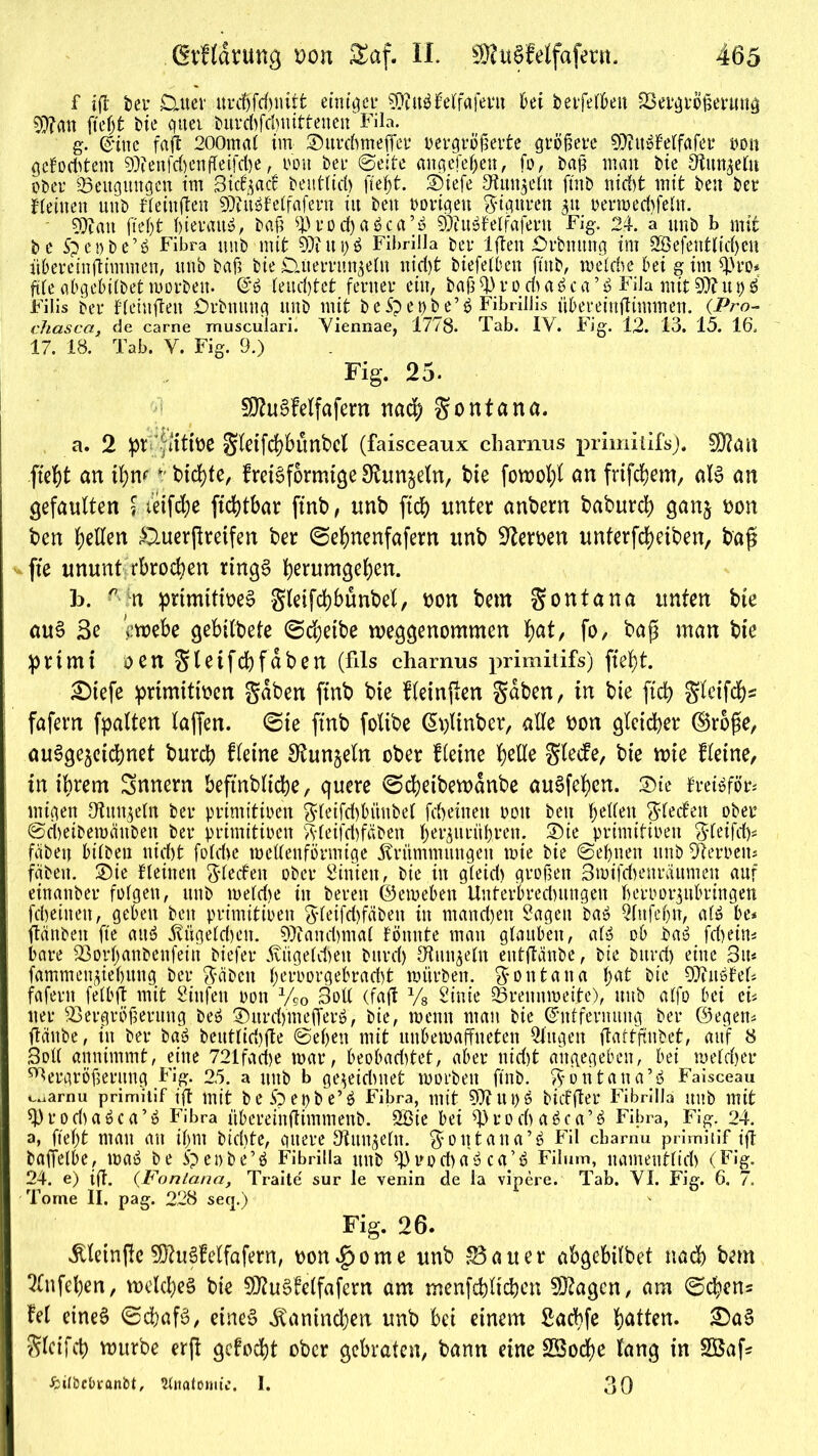 f tfl bei’ Datei uid)frf)iutfc einiger 9D?u$felfafent bei betfelben SSergrößertmg £0?att ftefjt bie gitei buvdfdmittenen Fila. g. Eine faft 200ma( itn Surdnueffer vergrößerte größere SÜfttSMfafer von gefochtem Vienfd)enfleifd)e, von bei (Seite angefehen, fo, baß man bte dtun^elu ober Beugungen im Sicfyad bettlltd) fielet. Diefe Ottin^eln ftnb nid)t mit bett bei deinen uub fleittften 9)?usfelfafern iit bett vorigen giguren 31t vermed)feltt. ojbatt fteljt hieran», baß RH’odjaäca’S wjuöfeifafern Fig. 24. a itnb b mit be Spevbe’S Fibra uub mit 9)iUt)S Fibrilla bei lflen Drbmtng im SÖefentlidjen übereinßimmen, ittib baß bie Düernm^eln nid)t biefelbctt ftttb, meide bei g im q)ro* fite abgebilbet morbett. ES ieud)tct ferner ein, baß R) r 0 d) a S c a ’ S FiJa mit 9)? u 9 $ Filis ber ffeinften Drbmtng ttnb mit beSpepbe’S Fibrillis übereinftimmen. (Pro- chasca, de carne musculari. Viennae, 1778. Tab. IV. Fig. 12. 13. 15. 16. 17. 18. Tab. Y. Fig. 9.) Fig. 25. SÖhtSfelfafern nach gontana. a. 2 pt Jtittüe gleifchbünbel (faiseeaux cliarnus primitifs). 50?an -fielet an ihm *; bicf)fe, fretSformtge Stojeln, bie fowof)l an frifd&em, als an gefaulten ? teifc£;e ftchtbar ftnb, ttnb ftch unter anbern baburch ganj von ben gellen £luerpretfen ber ©ehnenfafern ttnb 3?erven unferfdjetben, bap fte ununt rbrochen rings herumgehen. b. * n primitives gleifchbünbel, von bem gontana unten bte aus 3e Webe gebilbefe ©chetbe weggenommen l)at, fo, bap man bte primi ven gletfchfdben (fils charnus primitifs) fiel)t. £)tefe primitiven gaben ftnb bte Heinften gaben, in bie ftch gleifd)£ fafern fpalten taffen, ©ie ftnb foltbe ßplinber, alle von gleicher (Srbpe, ausgezeichnet burch Heine Utunjeln ober Heine helle glecfe, bie wie Heine, in ihrem Snnern beftnbliche, quere ©cheibewdnbe auSfehen. ©te freisför* mißen Otun^etn ber primitiven g(eifd)biittbel fd)einen von ben hellen gledett ober ©detbemättben ber primitiven gleifdfäben ber^ttritpren. ®ie primitiven gletfd)* fäbett bilbeu nid)t foldte wellenförmige Krümmungen mie bie ©ebnen ttnb SRervett» fabeit. ®ie Keinen gleden ober Sinien, bie in g(eid) großen Stvifcbenräumen auf einaitber folgen, uub melde in bereit ©emebett Unterbrechungen beroor^ttbringen fcbeiitett, geben ben primitiven gleifd)fciben itt mand)eit Sagen baS Qfttfeljn, als be* flattbeit fte attS Kügeldett. Manchmal tonnte man glauben, alö ob baS fd)eim bare 33ort>anbenfein biefer Kügelchen burd) Ottin^eln eutßänbe, bie burd) eine Btt* fammen^ieljung ber gaben f;et*vorgebrad)t mürben, goittaita fmt bie OJiitSM* fafern felbft mit Stufen oon V50 Bott (faft % Sinie Srennmeile), uub alfo bei eu tter Vergrößerung beö ©urdjmefferS, bie, menn man bie Entfernung ber ©egen* ftäitbe, iit ber ba» beutlid)fte ©eben mit unbemaffneten Singen ftattßnbet, auf 8 Soll annimmt, eine 721fad)e mar, beobadtet, aber nid)t abgegeben, bei meld)er Vergrößerung Fig. 25. a ttnb b gewidmet morbett ftnb. gotitana’ö Faisceau caarnu primitif ift mit be Spepbe’^ Fibra, mit 50? U t> ö biiffter Fibrilla ttub mit q)rodaöca’ö Fibra übereinftimmenb. 2öie bei R>rod)aöca'’ö Fibra, Fig. 24. a, fteht mau an ihm biebte, gitere dtun^eln. gontana’^ Fil ebarnu primiiif ift baffelbe, maö be ipeobe’ö Fibrilla uub ^vodaYca’ö Filum, uamettflid) (Fig. 24. e) iß. (Fontana, Traite sur le venin de la vipere. Tab. VI. Fig. 6. 7. Tome II. pag. 228 seq.) Fig. 26. Ktetnftc SÖ?uffelfafern, von^ome uub $3au er abgebilbet nad) bem 2Cnfehen, welches bie §D?u$?elfafem am menfchltchen Stagen, am ©chens Hl eines ©chafS, eines Kaninchen unb hei einem Sachfe hatten. 2)aS glcifch würbe erfl gcfodjt ober gebraten, bann eine 28ocf)e lang in SBaf* fcilbcbranbt, Anatomie. I. 30